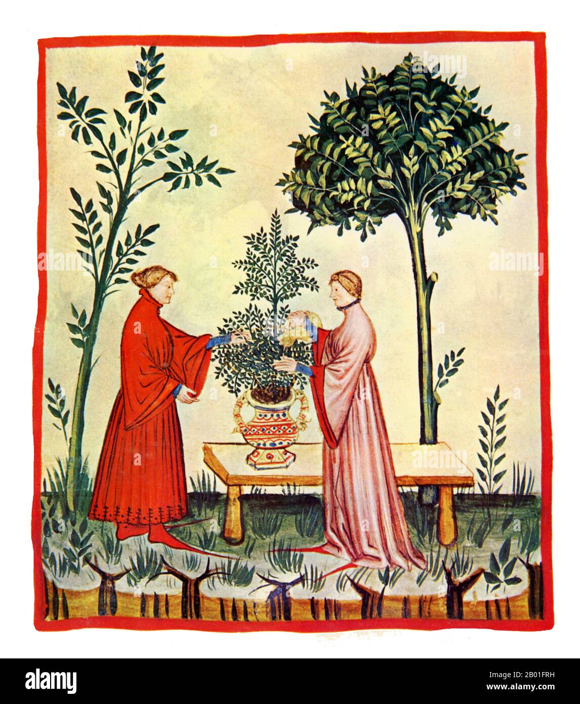 Iraq/Italia: Marjoram dolce (Maiorana). Illustrazione da Taqwim al-sihha di Ibn Butlan o 'mantenimento della Salute' (Baghdad, 11th ° secolo), pubblicato in Italia come il Tacuinum Sanitatis, 14th ° secolo. Il Tacuinum (a volte Taccuinum) Sanitatis è un manuale medievale sulla salute e il benessere, basato sul Taqwim al-sihha تقويم الصحة ('mantenimento della salute'), un trattato medico arabo dell'XI secolo di Ibn Butlan di Baghdad. Ibn Butlân era un medico cristiano nato a Bagdad e morto nel 1068. Foto Stock