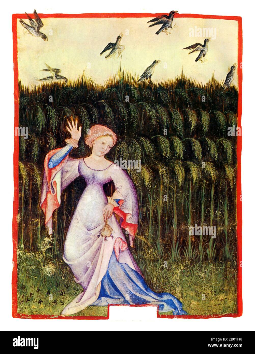 Iraq/Italia: Miglio (milio). Illustrazione da Taqwim al-sihha di Ibn Butlan o 'mantenimento della Salute' (Baghdad, 11th ° secolo), pubblicato in Italia come il Tacuinum Sanitatis, 14th ° secolo. Il Tacuinum (a volte Taccuinum) Sanitatis è un manuale medievale sulla salute e il benessere, basato sul Taqwim al-sihha تقويم الصحة ('mantenimento della salute'), un trattato medico arabo dell'XI secolo di Ibn Butlan di Baghdad. Ibn Butlân era un medico cristiano nato a Bagdad e morto nel 1068. Foto Stock