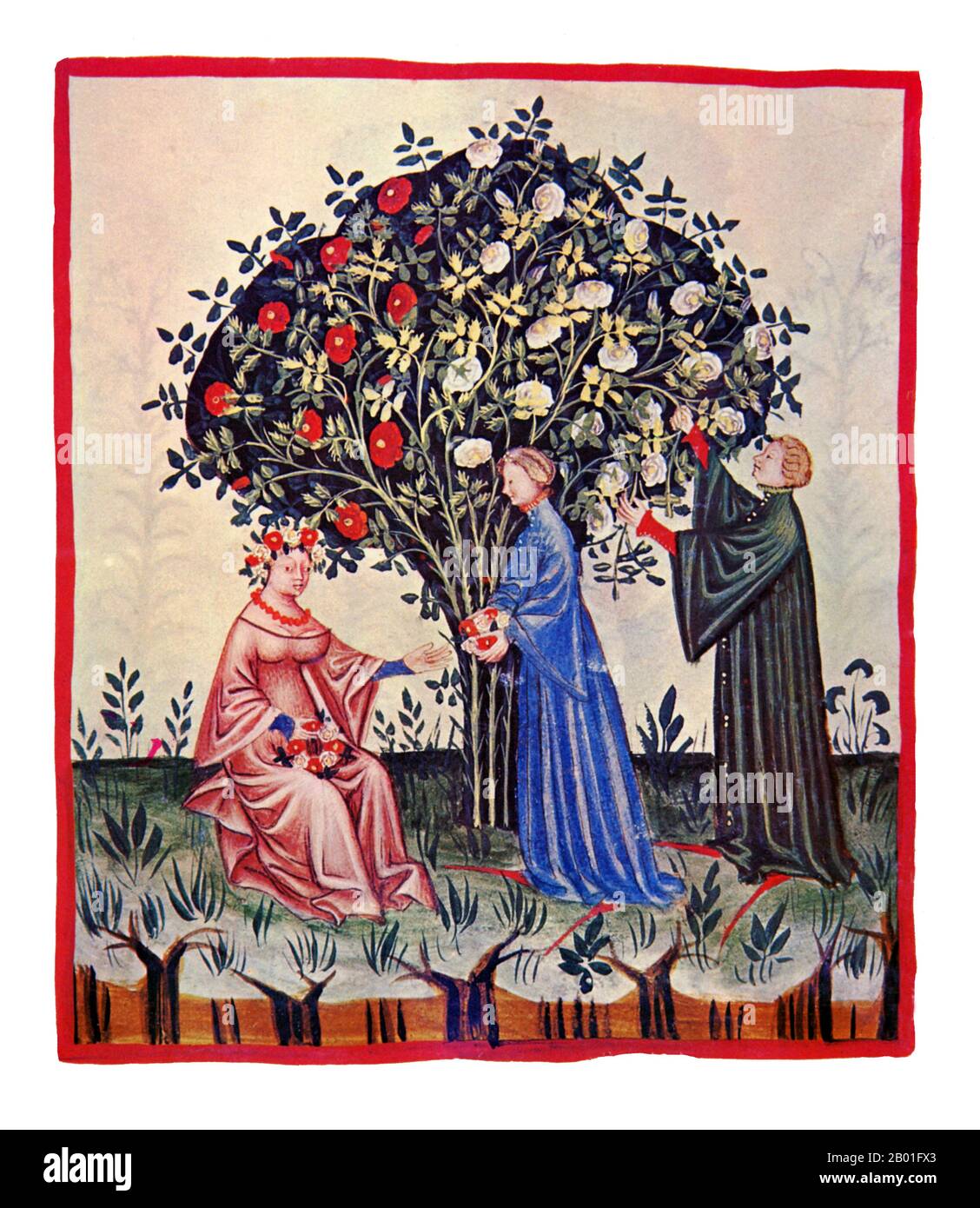 Iraq/Italia: Rose (Roxe). Illustrazione da Taqwim al-sihha di Ibn Butlan o 'mantenimento della Salute' (Baghdad, 11th ° secolo), pubblicato in Italia come il Tacuinum Sanitatis, 14th ° secolo. Il Tacuinum (a volte Taccuinum) Sanitatis è un manuale medievale sulla salute e il benessere, basato sul Taqwim al-sihha تقويم الصحة ('mantenimento della salute'), un trattato medico arabo dell'XI secolo di Ibn Butlan di Baghdad. Ibn Butlân era un medico cristiano nato a Bagdad e morto nel 1068. Foto Stock