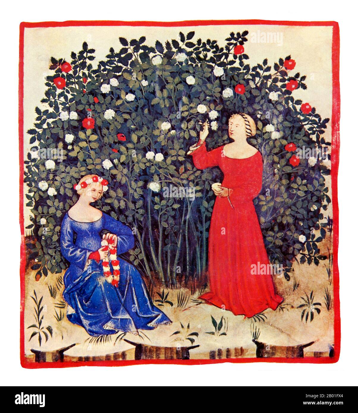 Iraq/Italia: Rose (Roxe). Illustrazione da Taqwim al-sihha di Ibn Butlan o 'mantenimento della Salute' (Baghdad, 11th ° secolo), pubblicato in Italia come il Tacuinum Sanitatis, 14th ° secolo. Il Tacuinum (a volte Taccuinum) Sanitatis è un manuale medievale sulla salute e il benessere, basato sul Taqwim al-sihha تقويم الصحة ('mantenimento della salute'), un trattato medico arabo dell'XI secolo di Ibn Butlan di Baghdad. Ibn Butlân era un medico cristiano nato a Bagdad e morto nel 1068. Foto Stock