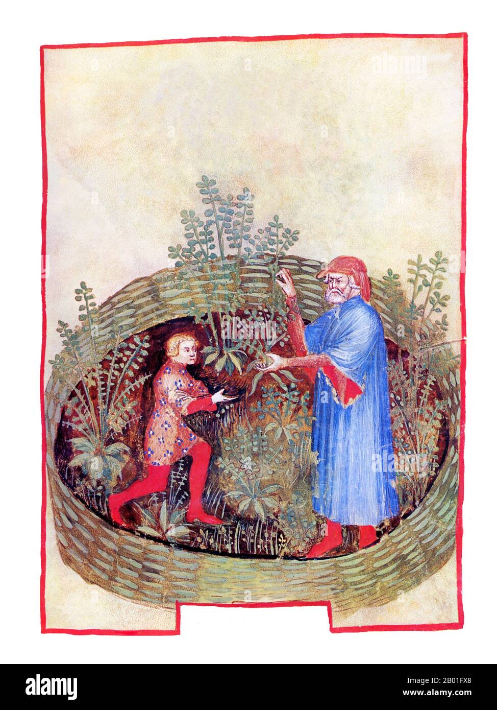 Iraq/Italia: Rue (Ruta). Illustrazione da Taqwim al-sihha di Ibn Butlan o 'mantenimento della Salute' (Baghdad, 11th ° secolo), pubblicato in Italia come il Tacuinum Sanitatis, 14th ° secolo. Il Tacuinum (a volte Taccuinum) Sanitatis è un manuale medievale sulla salute e il benessere, basato sul Taqwim al-sihha تقويم الصحة ('mantenimento della salute'), un trattato medico arabo dell'XI secolo di Ibn Butlan di Baghdad. Ibn Butlân era un medico cristiano nato a Bagdad e morto nel 1068. Foto Stock