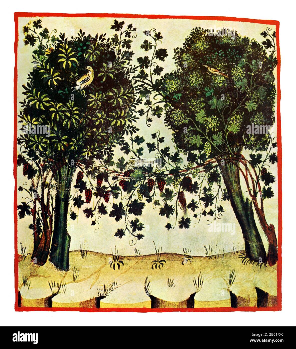 Iraq/Italia: Uve (Uvae). Illustrazione da Taqwim al-sihha di Ibn Butlan o 'mantenimento della Salute' (Baghdad, 11th ° secolo), pubblicato in Italia come il Tacuinum Sanitatis, 14th ° secolo. Il Tacuinum (a volte Taccuinum) Sanitatis è un manuale medievale sulla salute e il benessere, basato sul Taqwim al-sihha تقويم الصحة ('mantenimento della salute'), un trattato medico arabo dell'XI secolo di Ibn Butlan di Baghdad. Ibn Butlân era un medico cristiano nato a Bagdad e morto nel 1068. Foto Stock