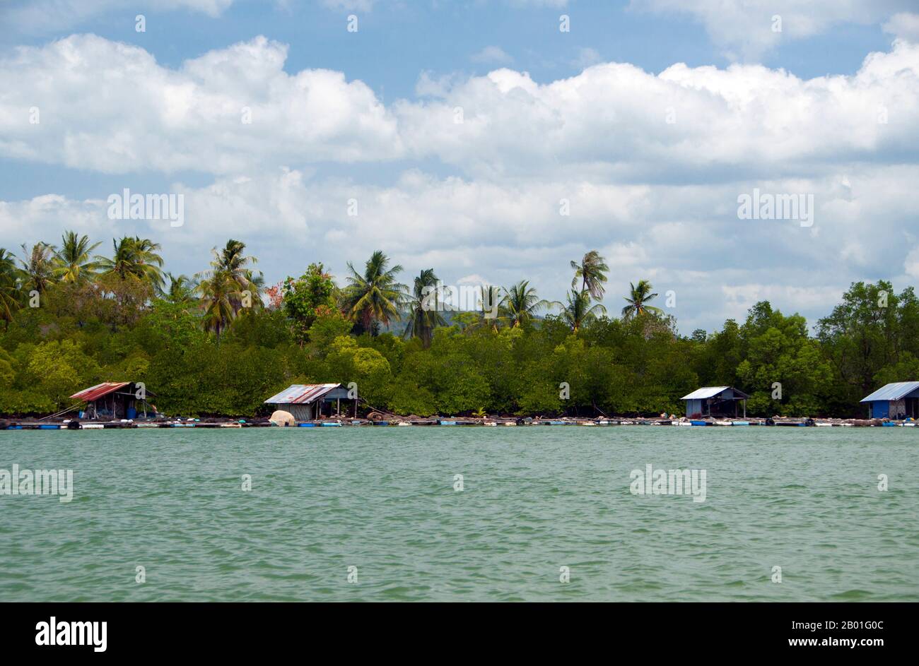Thailandia: Allevamenti di pesce, Pak Bara. Pak Bara è una piccola città balneare e villaggio di pescatori nel sud della Thailandia circa 60km km (37 miglia) a nord-ovest del capoluogo di provincia di Satun. Serve come punto di partenza per le visite al Parco Nazionale Marino di Mu Ko Phetra e al Parco Nazionale Marino di Ko Tarutao. Foto Stock