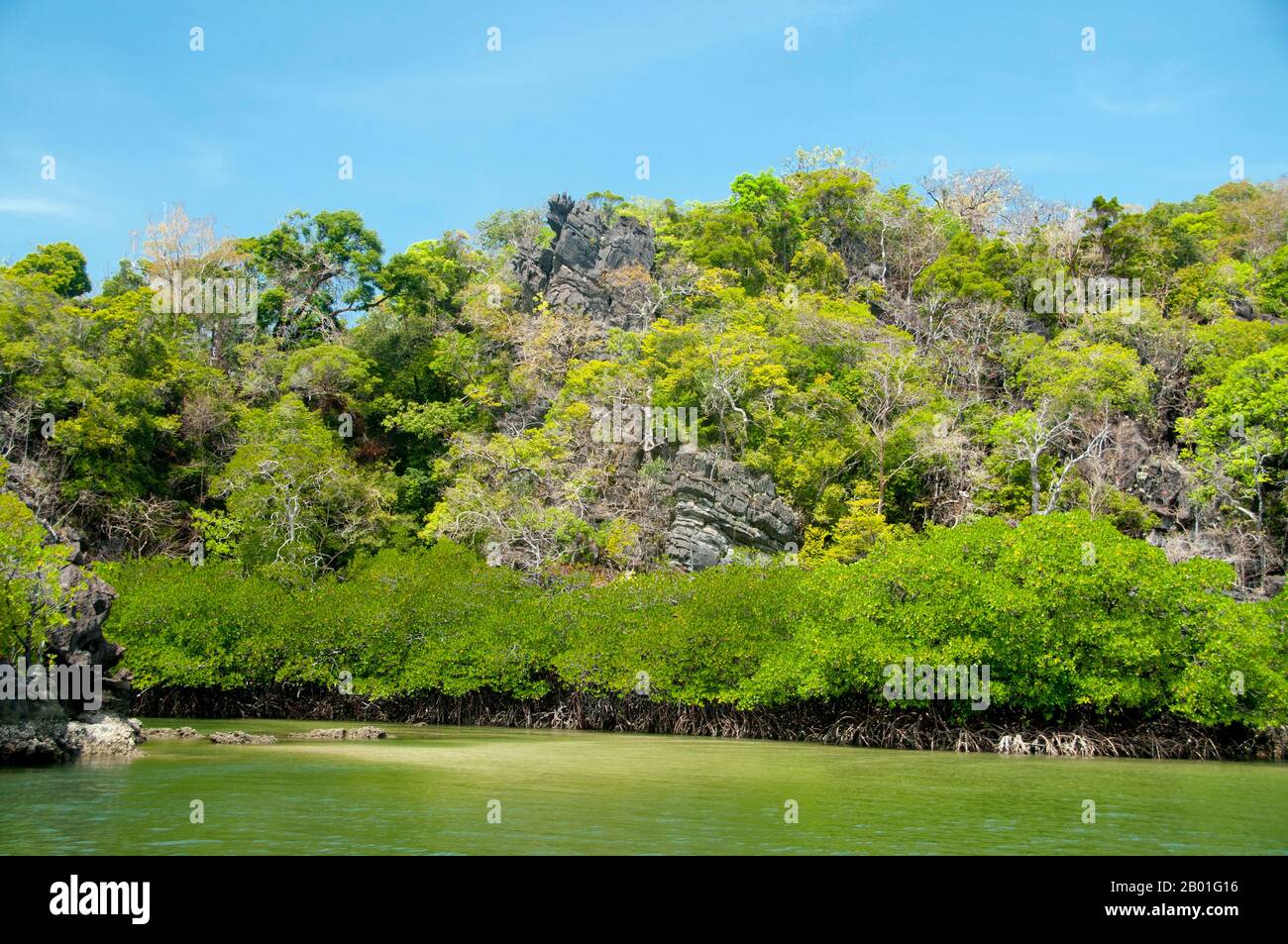 Thailandia: Ao Pante Malaka, Ko Tarutao, Ko Tarutao Marine National Park. Ao Pante Melaka è una lunga baia sulla riva nord-occidentale di Ko Tarutao, con una spiaggia di sabbia fine. Qui si trovano la sede centrale del Parco Nazionale Marino di Ko Tarutao e un centro di servizi turistici che ospita una mostra che copre lo sfondo storico e naturale del parco. Il Parco Nazionale Marino di Ko Tarutao consiste di 51 isole in due gruppi principali sparsi attraverso il Mare delle Andamane nella Thailandia più meridionale. Solo sette delle isole sono di qualsiasi dimensione, tra cui Ko Tarutao a est, e Ko Adang-Ko Rawi a ovest. Foto Stock