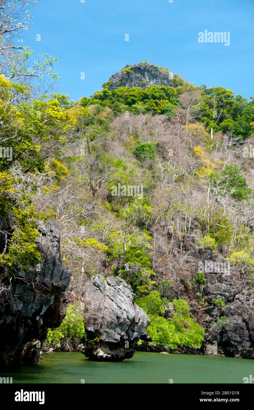 Thailandia: Ao Pante Malaka, Ko Tarutao, Ko Tarutao Marine National Park. Ao Pante Melaka è una lunga baia sulla riva nord-occidentale di Ko Tarutao, con una spiaggia di sabbia fine. Qui si trovano la sede centrale del Parco Nazionale Marino di Ko Tarutao e un centro di servizi turistici che ospita una mostra che copre lo sfondo storico e naturale del parco. Il Parco Nazionale Marino di Ko Tarutao consiste di 51 isole in due gruppi principali sparsi attraverso il Mare delle Andamane nella Thailandia più meridionale. Solo sette delle isole sono di qualsiasi dimensione, tra cui Ko Tarutao a est, e Ko Adang-Ko Rawi a ovest. Foto Stock