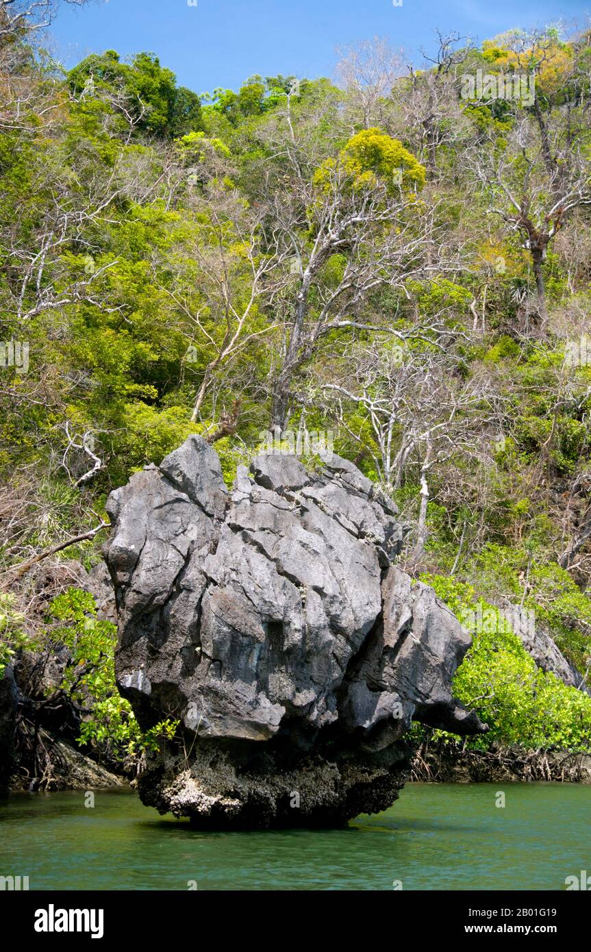 Thailandia: Ao Pante Malaka, Ko Tarutao, Ko Tarutao Marine National Park. Ao Pante Melaka è una lunga baia sulla riva nord-occidentale di Ko Tarutao, con una spiaggia di sabbia fine. Qui si trovano la sede centrale del Parco Nazionale Marino di Ko Tarutao e un centro di servizi turistici che ospita una mostra che copre lo sfondo storico e naturale del parco. Il Parco Nazionale Marino di Ko Tarutao consiste di 51 isole in due gruppi principali sparsi attraverso il Mare delle Andamane nella Thailandia più meridionale. Solo sette delle isole sono di qualsiasi dimensione, tra cui Ko Tarutao a est, e Ko Adang-Ko Rawi a ovest. Foto Stock