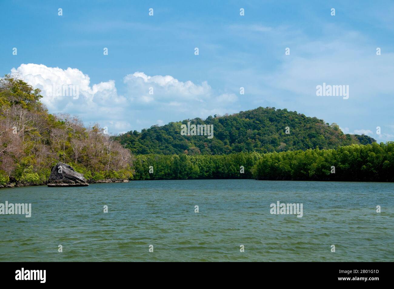 Thailandia: Ao Pante Malaka, Ko Tarutao, Ko Tarutao Marine National Park. Ao Pante Melaka è una lunga baia sulla riva nord-occidentale di Ko Tarutao, con una spiaggia di sabbia fine. Qui si trovano la sede centrale del Parco Nazionale Marino di Ko Tarutao e un centro di servizi turistici che ospita una mostra che copre lo sfondo storico e naturale del parco. Il Parco Nazionale Marino di Ko Tarutao consiste di 51 isole in due gruppi principali sparsi attraverso il Mare delle Andamane nella Thailandia più meridionale. Solo sette delle isole sono di qualsiasi dimensione, tra cui Ko Tarutao a est, e Ko Adang-Ko Rawi a ovest. Foto Stock