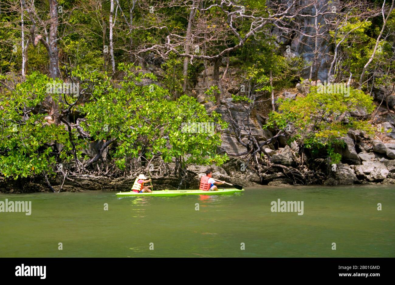 Thailandia: Kayak, To-Bu (Toe-Boo) Cliff area, Ko Tarutao, Ko Tarutao Marine National Park. Ao Pante Melaka è una lunga baia sulla riva nord-occidentale di Ko Tarutao, con una spiaggia di sabbia fine. Qui si trovano la sede centrale del Parco Nazionale Marino di Ko Tarutao e un centro di servizi turistici che ospita una mostra che copre lo sfondo storico e naturale del parco. Il Parco Nazionale Marino di Ko Tarutao consiste di 51 isole in due gruppi principali sparsi attraverso il Mare delle Andamane nella Thailandia più meridionale. Solo sette delle isole sono di qualsiasi dimensione, tra cui Ko Tarutao a est. Foto Stock