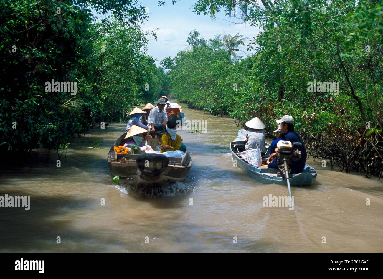 Vietnam: Trasporto nei corsi d'acqua del delta del Mekong. Il Vietnam meridionale è dominato dalle ricche terre agricole del delta del Mekong, la principale fonte di produzione nazionale di riso, frutta e verdura. La terra è alluvionale e bassa, con paludi e foreste di mangrovie a ovest e a sud. Durante la stagione delle piogge, l'acqua copre un terzo del delta, con inondazioni fino a 4 m. In alcuni punti, l'acqua salata penetra nel delta fino a 30 m (48 km). Anche se straordinariamente fertile, parti del Delta devono ancora essere coltivate. Foto Stock