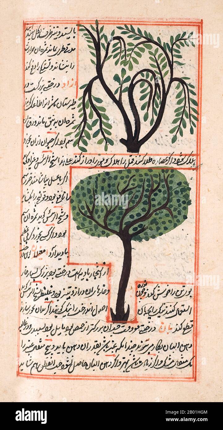 Iran/Persia: Illustrazione di Zakarīyā ibn Muḥammad al-Qazwīnī, «Ajā’ib al-makhlūqāt wa-gharā’ib al-mawjūdāt (meraviglie delle cose create e aspetti miracolosi delle cose esistenti) c. 1250 d.C. Abu Yahya Zakariya ibn Muhammad al-Qazwini (1203-1283) è stato un medico, astronomo, geografo e scrittore di proto-fantascienza persiano. Nato nella città persiana di Qazvin, ha servito come esperto legale e giudice (qadhi) in diverse località in Persia e a Baghdad. Viaggiò in Mesopotamia e in Siria, e infine entrò nel circolo patrocinato dal governatore di Baghdad. Foto Stock