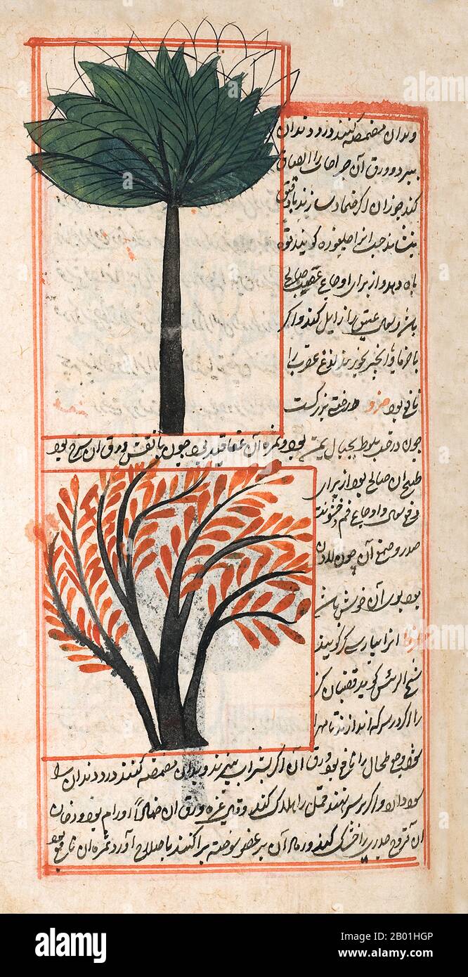Iran/Persia: Illustrazione di Zakarīyā ibn Muḥammad al-Qazwīnī, «Ajā’ib al-makhlūqāt wa-gharā’ib al-mawjūdāt (meraviglie delle cose create e aspetti miracolosi delle cose esistenti) c. 1250 d.C. Abu Yahya Zakariya ibn Muhammad al-Qazwini (1203-1283) è stato un medico, astronomo, geografo e scrittore di proto-fantascienza persiano. Nato nella città persiana di Qazvin, ha servito come esperto legale e giudice (qadhi) in diverse località in Persia e a Baghdad. Viaggiò in Mesopotamia e in Siria, e infine entrò nel circolo patrocinato dal governatore di Baghdad. Foto Stock