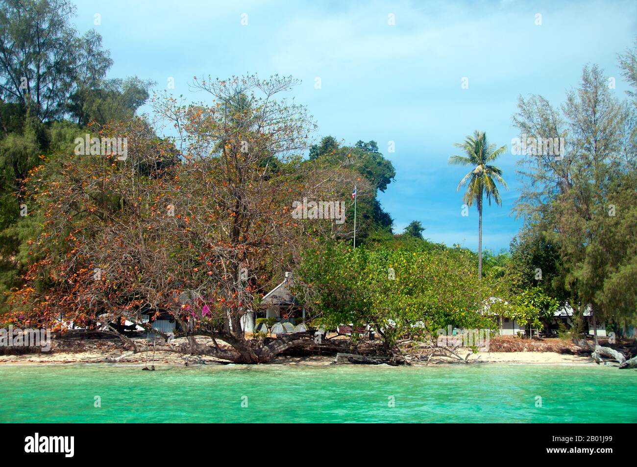 Thailandia: Bungalow sulla spiaggia a Ko Kradan, provincia di Trang. Ko Kradan si trova a 13 km (8 miglia) a sud del molo Pak Meng di Trang ed è solo una delle perle del Mare delle Andamane che si trovano al largo della costa sud-occidentale di Trang. La provincia di Trang dipendeva dall'estrazione dello stagno fino a quando le prime piantine di gomma furono portate in Thailandia intorno al 1901 - parte di un lungo viaggio dal Sud America attraverso i vicini stati malesi. La gomma, l'olio di palma e la pesca sono i pilastri dell'economia della provincia. Il turismo sta facendo un impatto crescente con lo sviluppo e la diffusione della Costa Anadaman e delle isole di Trang. Foto Stock