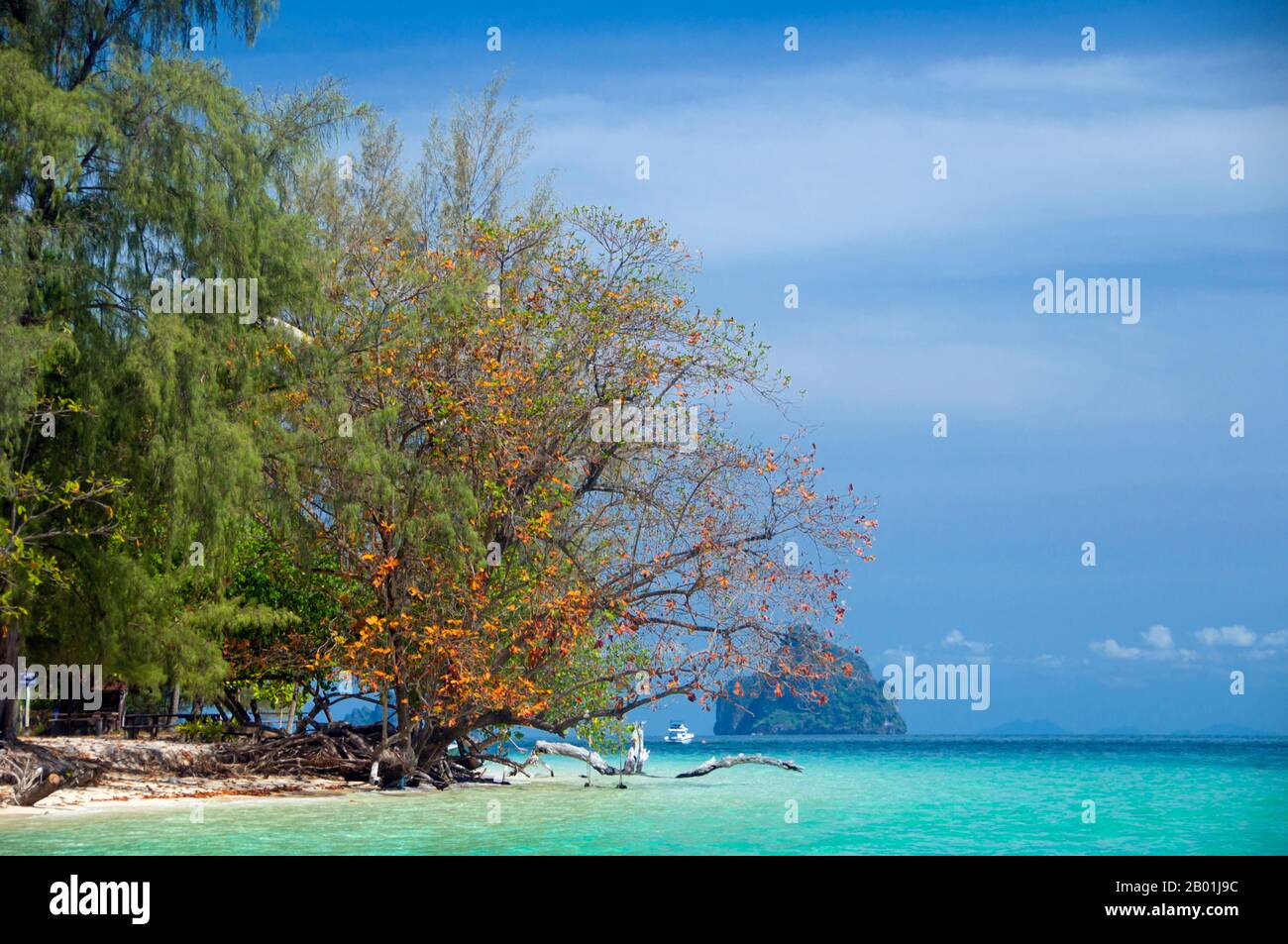 Thailandia: Ko Kradan e isola al largo, provincia di Trang. Ko Kradan si trova a 13 km (8 miglia) a sud del molo Pak Meng di Trang ed è solo una delle perle del Mare delle Andamane che si trovano al largo della costa sud-occidentale di Trang. La provincia di Trang dipendeva dall'estrazione dello stagno fino a quando le prime piantine di gomma furono portate in Thailandia intorno al 1901 - parte di un lungo viaggio dal Sud America attraverso i vicini stati malesi. La gomma, l'olio di palma e la pesca sono i pilastri dell'economia della provincia. Il turismo sta avendo un impatto crescente poiché la costa di Anadaman e le isole di Trang sono sempre più sviluppate e diffuse. Foto Stock