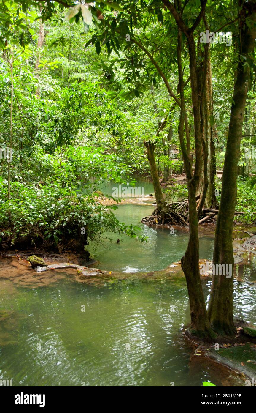 Thailandia: Una delle tante piscine color smeraldo del parco, rispetto al Bokkharani National Park, provincia di Krabi. Il Parco Nazionale di Than Bokkharani si trova nella provincia di Krabi a circa 45 chilometri (28 miglia) a nord-ovest della città di Krabi. Il parco copre un'area di 121 chilometri quadrati (47 miglia quadrate) ed è caratterizzato da una serie di affioramenti calcarei, foreste pluviali sempreverdi, foreste di mangrovie, torbiere e molte isole. Ci sono anche numerose grotte e complessi rupestri con alcune spettacolari stalagmiti e stalattiti. Il Bokkharani è incentrato su due famose grotte, Tham Lot e Tham Phi Hua. Foto Stock
