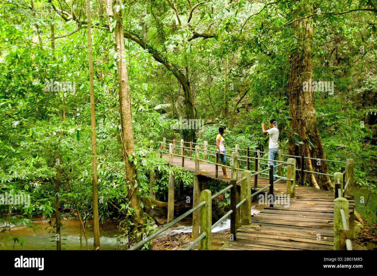 Thailandia: Visitatori thailandesi su una passerella nel Parco Nazionale Than Bokkharani, provincia di Krabi. Il Parco Nazionale di Than Bokkharani si trova nella provincia di Krabi a circa 45 chilometri (28 miglia) a nord-ovest della città di Krabi. Il parco copre un'area di 121 chilometri quadrati (47 miglia quadrate) ed è caratterizzato da una serie di affioramenti calcarei, foreste pluviali sempreverdi, foreste di mangrovie, torbiere e molte isole. Ci sono anche numerose grotte e complessi rupestri con alcune spettacolari stalagmiti e stalattiti. Il Bokkharani è incentrato su due famose grotte, Tham Lot e Tham Phi Hua. Foto Stock