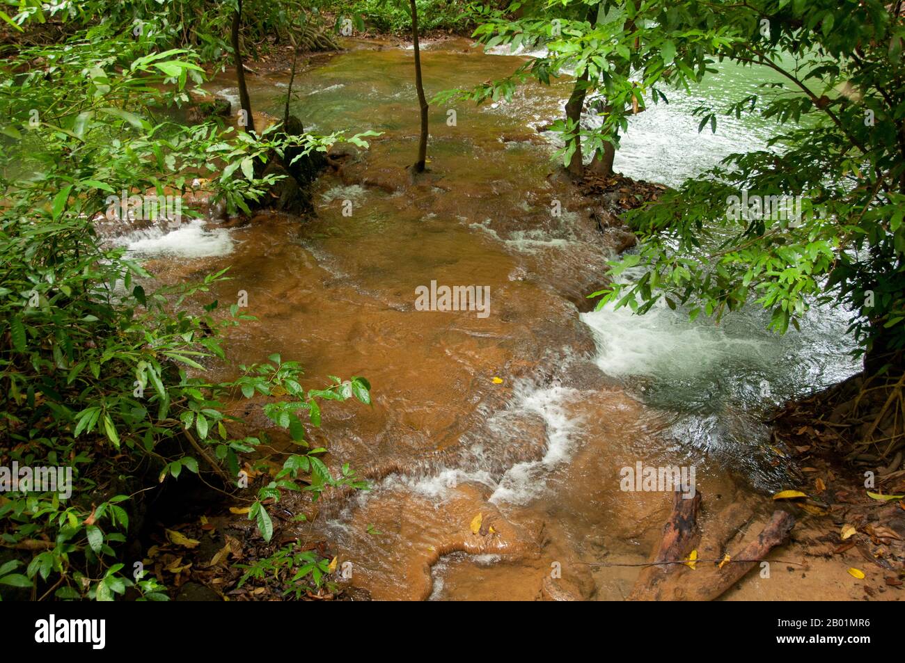 Thailandia: Una delle tante piscine color smeraldo del parco, rispetto al Bokkharani National Park, provincia di Krabi. Il Parco Nazionale di Than Bokkharani si trova nella provincia di Krabi a circa 45 chilometri (28 miglia) a nord-ovest della città di Krabi. Il parco copre un'area di 121 chilometri quadrati (47 miglia quadrate) ed è caratterizzato da una serie di affioramenti calcarei, foreste pluviali sempreverdi, foreste di mangrovie, torbiere e molte isole. Ci sono anche numerose grotte e complessi rupestri con alcune spettacolari stalagmiti e stalattiti. Il Bokkharani è incentrato su due famose grotte, Tham Lot e Tham Phi Hua. Foto Stock