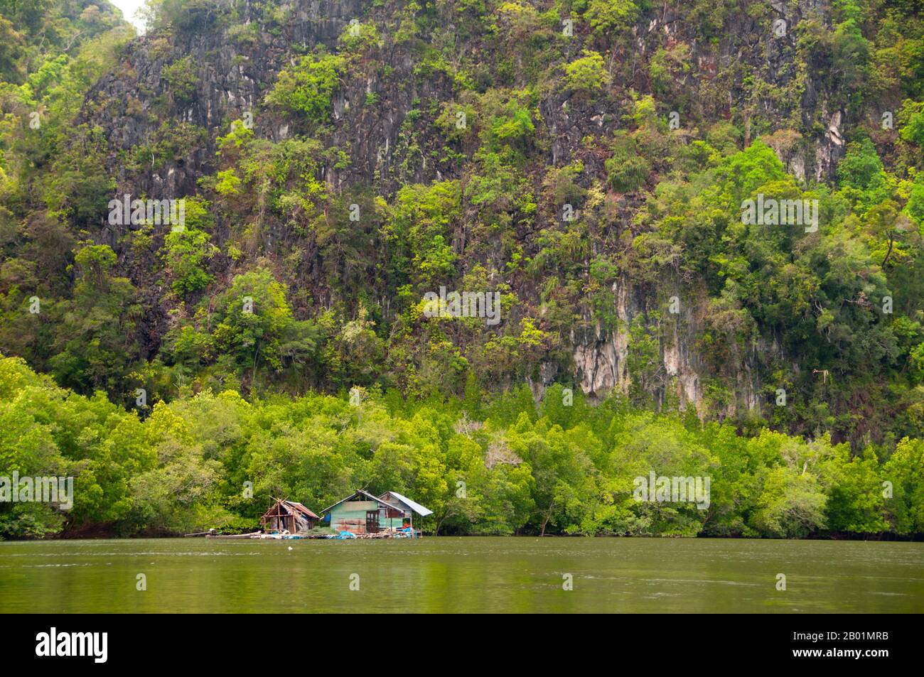 Thailandia: Allevamento ittico galleggiante, rispetto al Parco nazionale di Bokkharani, provincia di Krabi. Il Parco Nazionale di Than Bokkharani si trova nella provincia di Krabi a circa 45 chilometri (28 miglia) a nord-ovest della città di Krabi. Il parco copre un'area di 121 chilometri quadrati (47 miglia quadrate) ed è caratterizzato da una serie di affioramenti calcarei, foreste pluviali sempreverdi, foreste di mangrovie, torbiere e molte isole. Ci sono anche numerose grotte e complessi rupestri con alcune spettacolari stalagmiti e stalattiti. Il Bokkharani è incentrato su due famose grotte, Tham Lot e Tham Phi Hua. Foto Stock