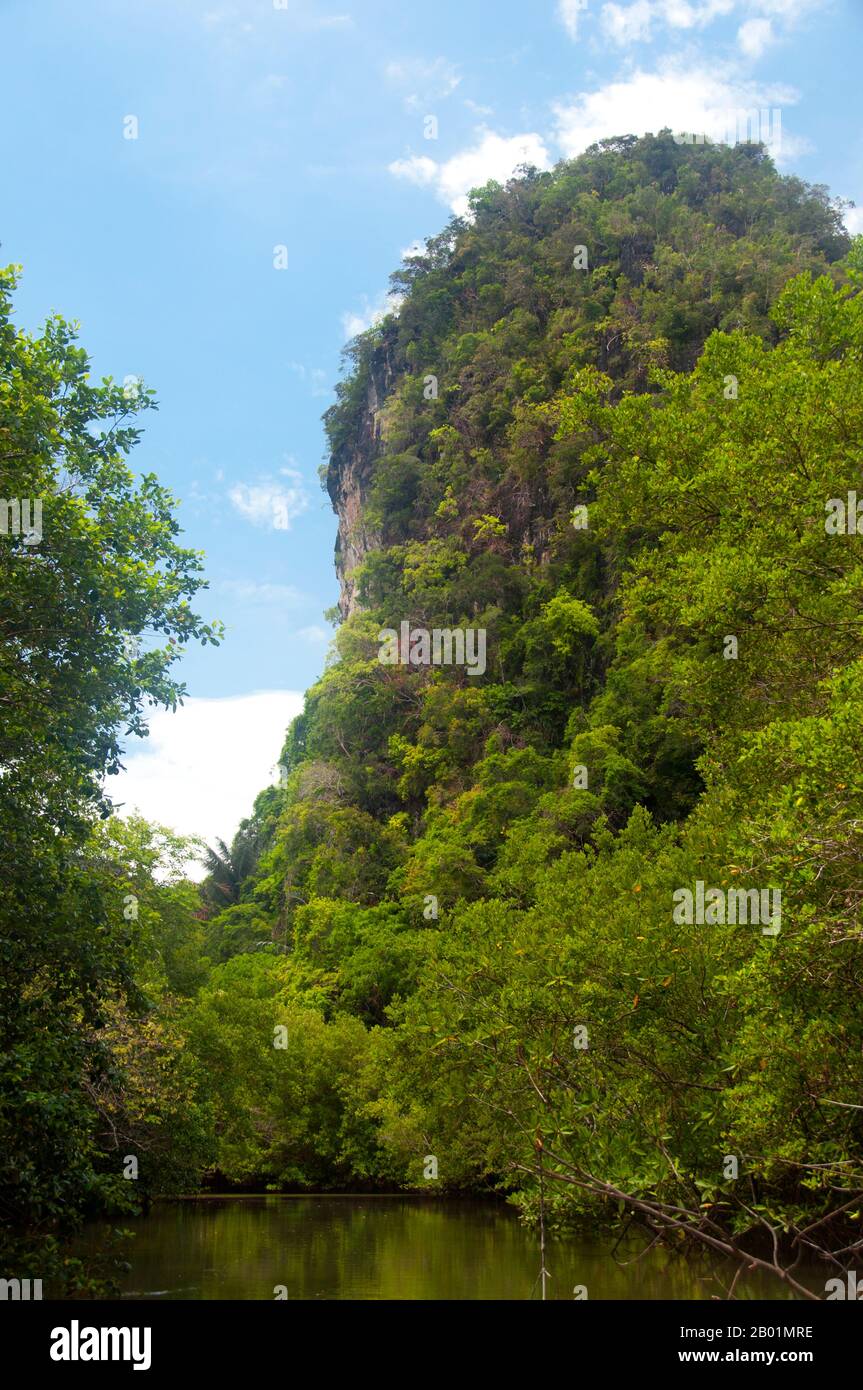 Thailandia: Affioramenti di calcare e mangrovie nel Parco nazionale del Bokkharani, provincia di Krabi. Il Parco Nazionale di Than Bokkharani si trova nella provincia di Krabi a circa 45 chilometri (28 miglia) a nord-ovest della città di Krabi. Il parco copre un'area di 121 chilometri quadrati (47 miglia quadrate) ed è caratterizzato da una serie di affioramenti calcarei, foreste pluviali sempreverdi, foreste di mangrovie, torbiere e molte isole. Ci sono anche numerose grotte e complessi rupestri con alcune spettacolari stalagmiti e stalattiti. Il Bokkharani è incentrato su due famose grotte, Tham Lot e Tham Phi Hua. Foto Stock