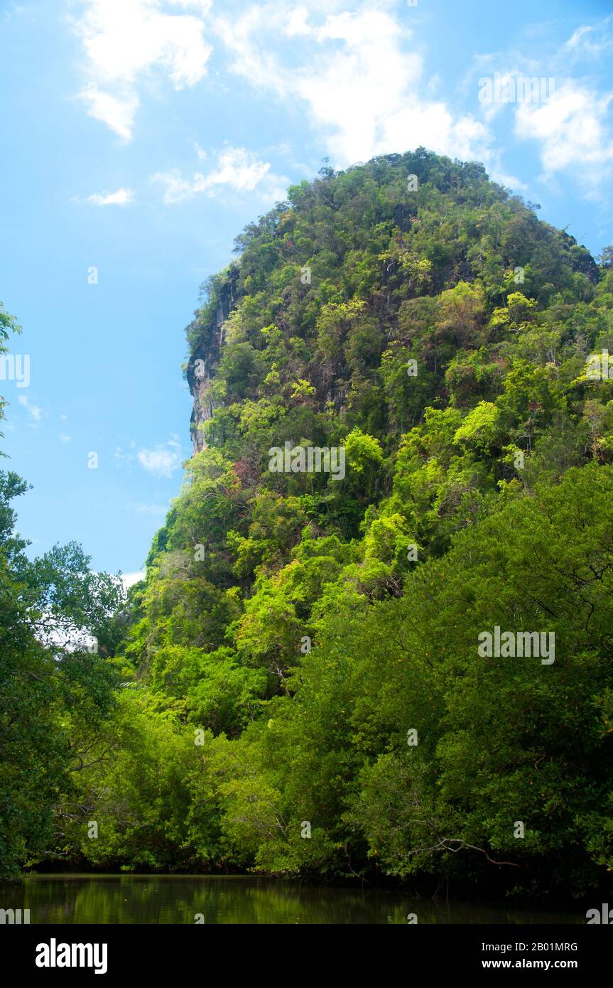 Thailandia: Affioramenti di calcare e mangrovie nel Parco nazionale del Bokkharani, provincia di Krabi. Il Parco Nazionale di Than Bokkharani si trova nella provincia di Krabi a circa 45 chilometri (28 miglia) a nord-ovest della città di Krabi. Il parco copre un'area di 121 chilometri quadrati (47 miglia quadrate) ed è caratterizzato da una serie di affioramenti calcarei, foreste pluviali sempreverdi, foreste di mangrovie, torbiere e molte isole. Ci sono anche numerose grotte e complessi rupestri con alcune spettacolari stalagmiti e stalattiti. Il Bokkharani è incentrato su due famose grotte, Tham Lot e Tham Phi Hua. Foto Stock