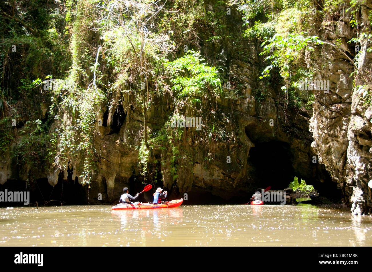 Thailandia: Kayak in una delle lagune chiuse, rispetto al parco nazionale di Bokkharani, provincia di Krabi. Il Parco Nazionale di Than Bokkharani si trova nella provincia di Krabi a circa 45 chilometri (28 miglia) a nord-ovest della città di Krabi. Il parco copre un'area di 121 chilometri quadrati (47 miglia quadrate) ed è caratterizzato da una serie di affioramenti calcarei, foreste pluviali sempreverdi, foreste di mangrovie, torbiere e molte isole. Ci sono anche numerose grotte e complessi rupestri con alcune spettacolari stalagmiti e stalattiti. Il Bokkharani è incentrato su due famose grotte, Tham Lot e Tham Phi Hua. Foto Stock