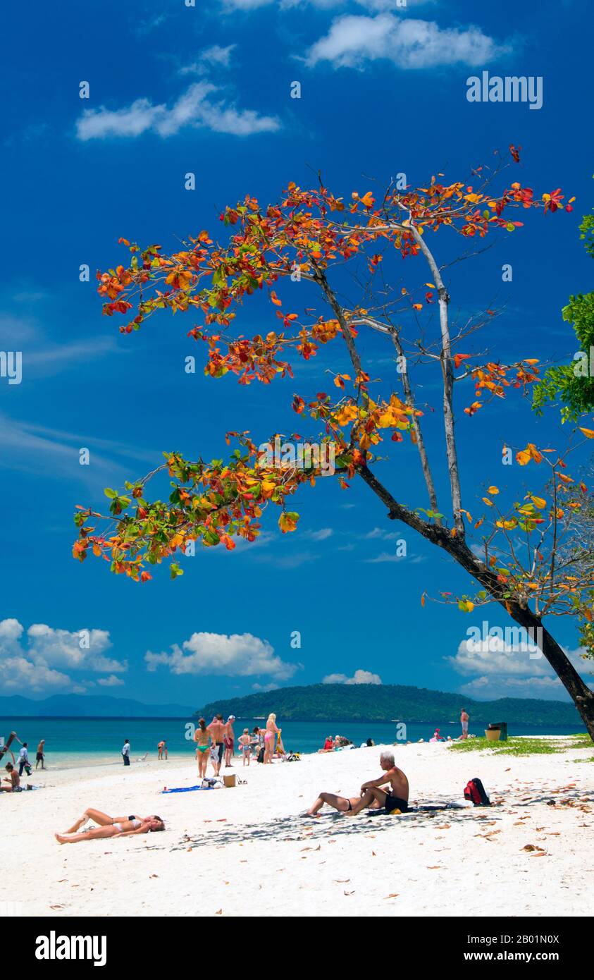Thailandia: Spiaggia di Hat Tham Phra Nang, costa di Krabi. Hat Tham Phra Nang, la «spiaggia della venerata signora», è una bellissima spiaggia di sabbia bianca situata all'estremità meridionale della piccola penisola che divide Rai le East Beach da Rai Leh West Beach. La spiaggia è considerata da molti la più bella della regione di Krabi e anche una delle più belle della Thailandia meridionale. Composto da una splendida sabbia bianca e cristallina e riparato da alte scogliere calcaree, l'ambientazione da cartolina è impreziosita da affioramenti carsici nitidi e dalla forma strana. Foto Stock