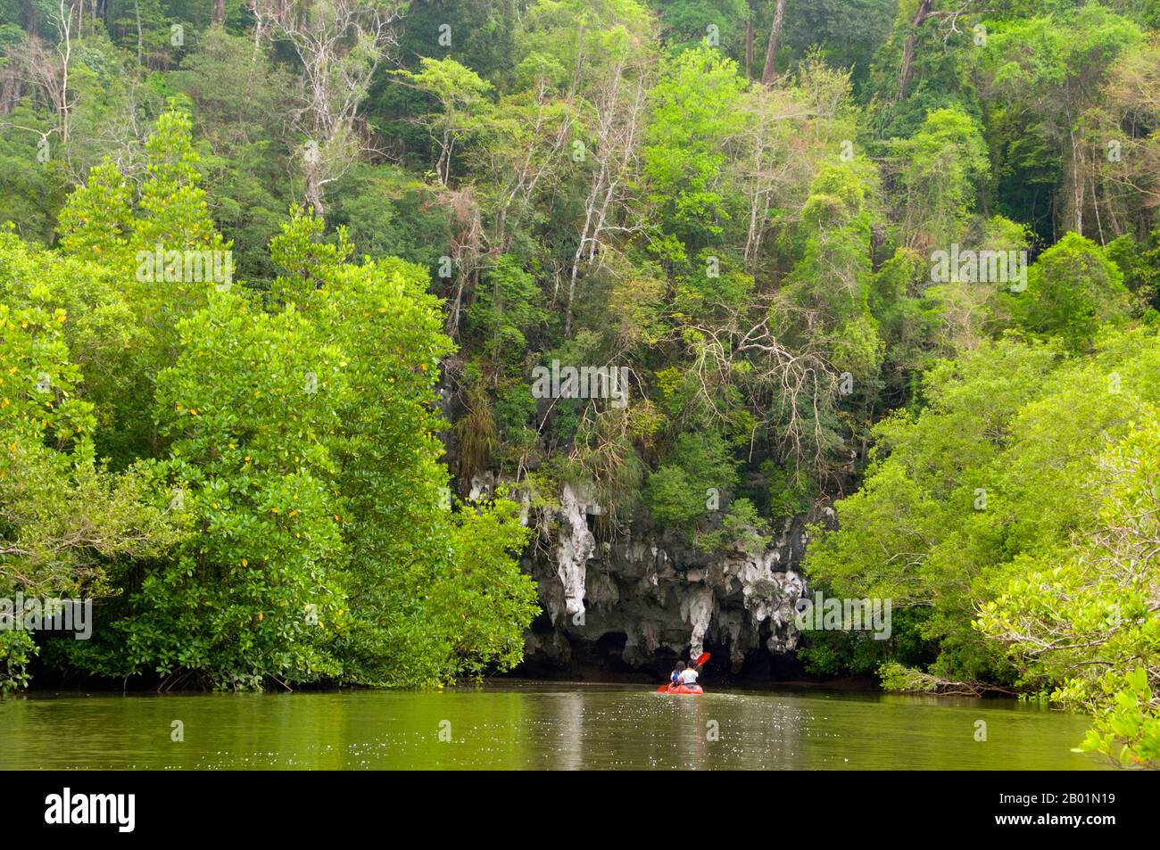 Thailandia: Kayak nel parco, poi nel Parco Nazionale di Bokkharani, provincia di Krabi. Il Parco Nazionale di Than Bokkharani si trova nella provincia di Krabi a circa 45 chilometri (28 miglia) a nord-ovest della città di Krabi. Il parco copre un'area di 121 chilometri quadrati (47 miglia quadrate) ed è caratterizzato da una serie di affioramenti calcarei, foreste pluviali sempreverdi, foreste di mangrovie, paludi torbiere e molte isole. Ci sono anche numerose grotte e complessi rupestri con alcune spettacolari stalagmiti e stalattiti. Il Bokkharani è incentrato su due famose grotte, Tham Lot e Tham Phi Hua. Foto Stock