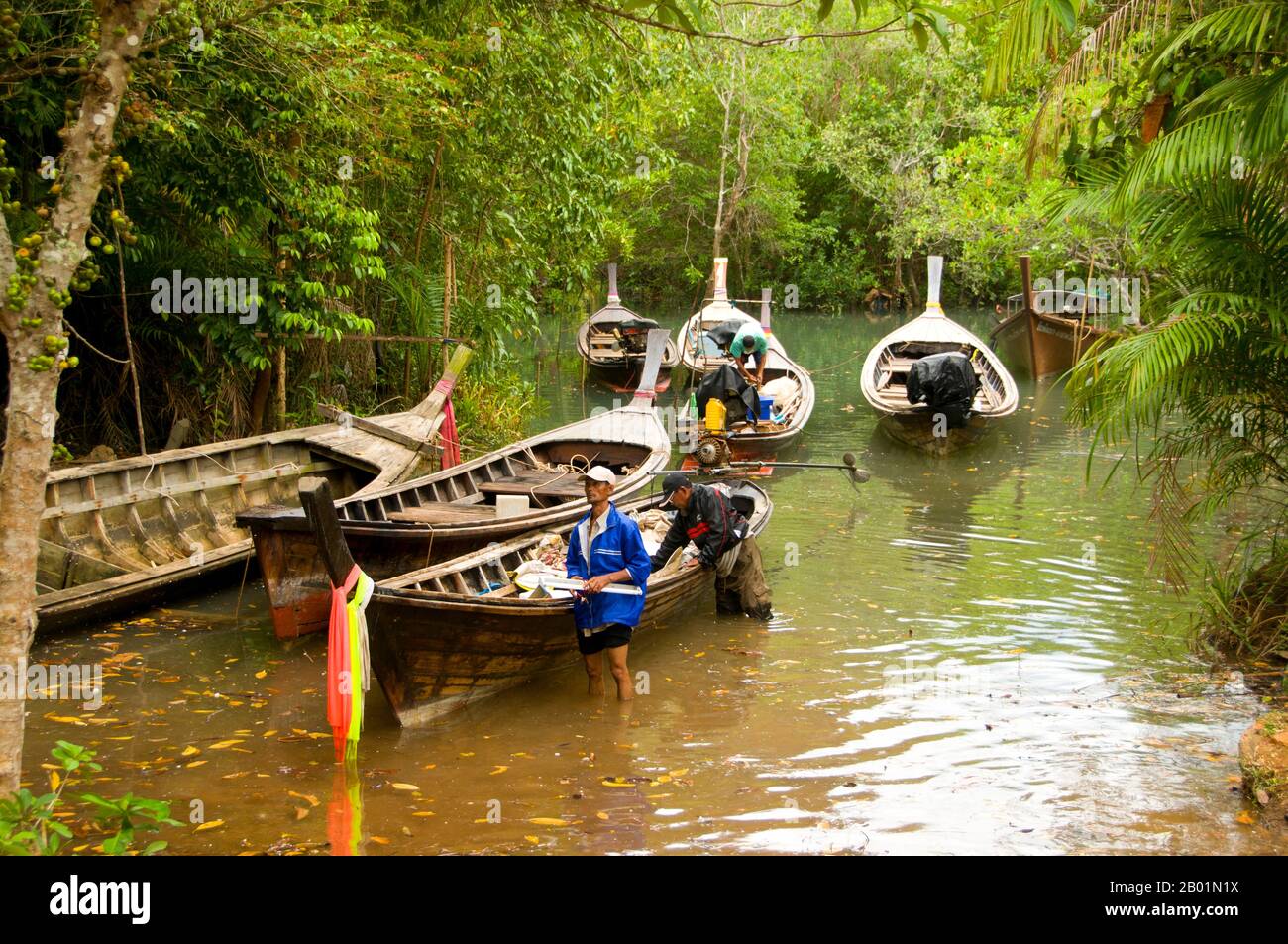 Thailandia: Barche sul fiume presso la palude e la foresta di Tha Pom, sulla costa di Krabi. Tha Pom (il nome completo in thailandese è Pa Phru Tha Pom Khlong Song Nam) è una palude di torba e una foresta che corre principalmente da una piscina chiamata Chong Phra Kaew lungo un corso d'acqua naturale. La gente locale chiama questo canale Khlong Song Nam o "due tipi di canale d'acqua", perché l'acqua dolce limpida si incontra e si fonde con l'acqua di mare con l'alta marea, dando luogo a un ambiente naturale in cui le palme di Lumphi (Eleiodoxa conferta) si incontrano e si mescolano con la foresta di mangrovie. Foto Stock