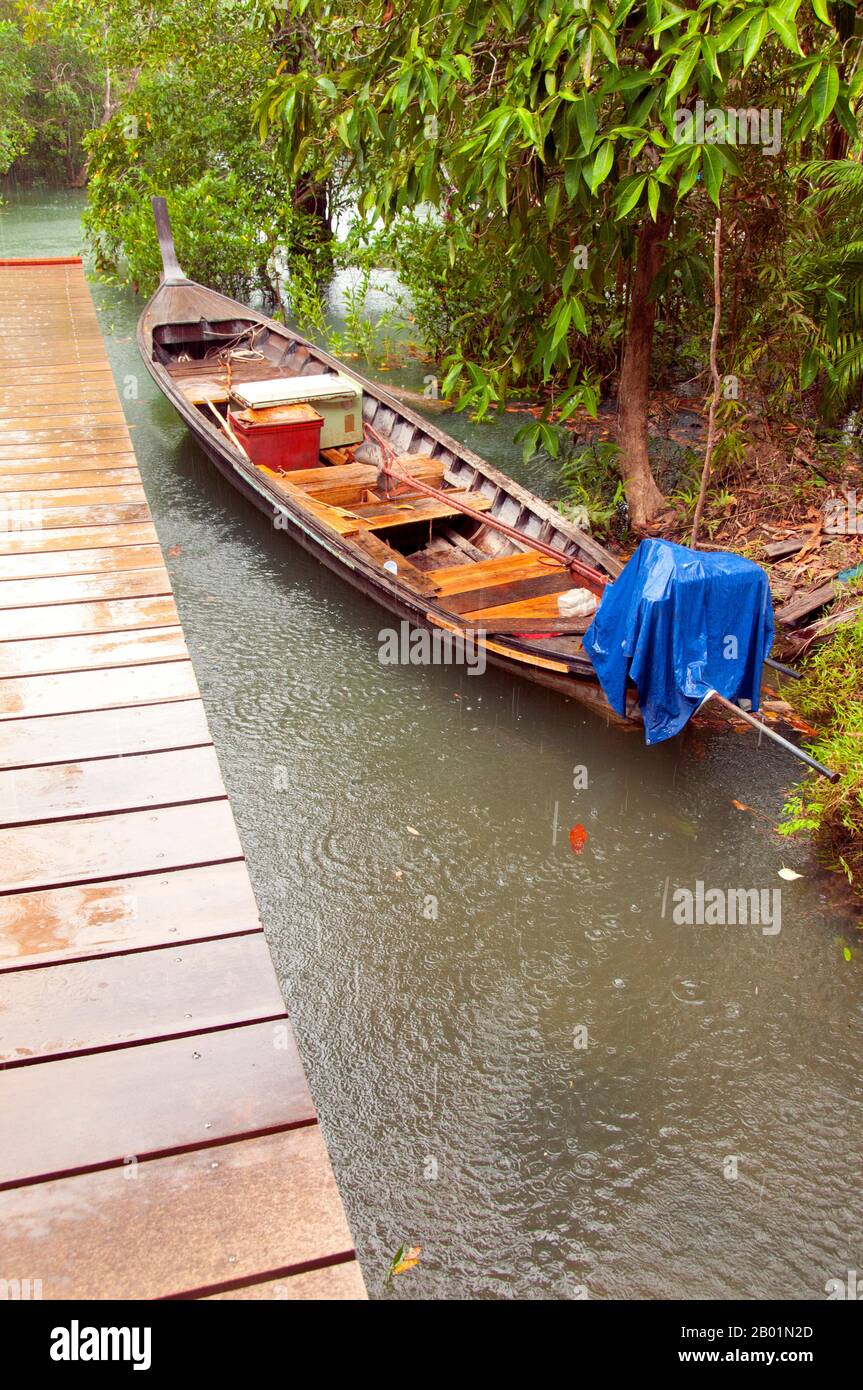 Thailandia: Barca sul fiume presso la palude e la foresta di Tha Pom, sulla costa di Krabi. Tha Pom (il nome completo in thailandese è Pa Phru Tha Pom Khlong Song Nam) è una palude di torba e una foresta che corre principalmente da una piscina chiamata Chong Phra Kaew lungo un corso d'acqua naturale. La gente locale chiama questo canale Khlong Song Nam o "due tipi di canale d'acqua", perché l'acqua dolce limpida si incontra e si fonde con l'acqua di mare con l'alta marea, dando luogo a un ambiente naturale in cui le palme di Lumphi (Eleiodoxa conferta) si incontrano e si mescolano con le foreste di mangrovie. Foto Stock