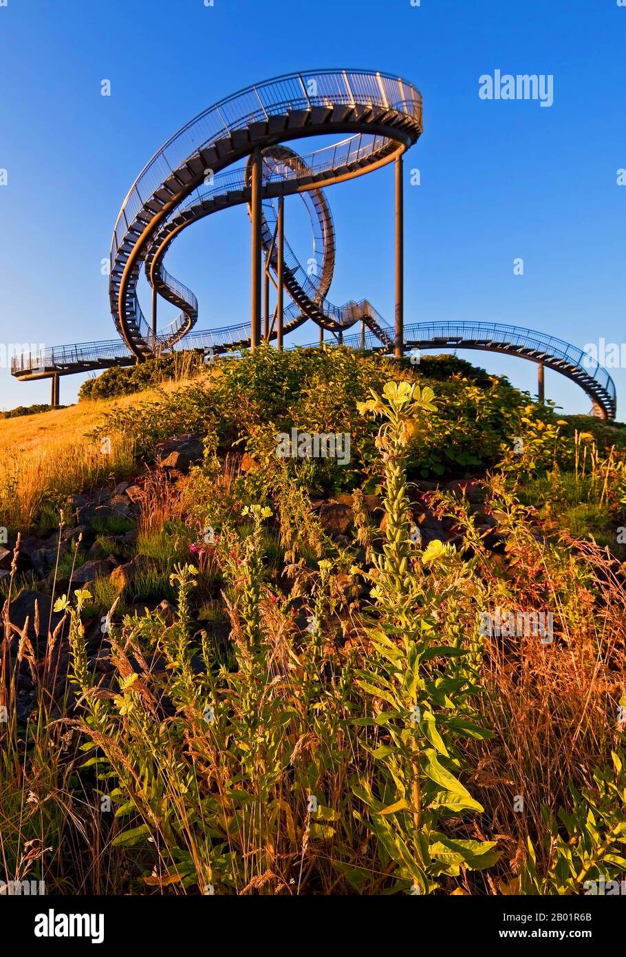 Tiger and Turtle – Magic Mountain, installazione artistica e punto di riferimento ad Angerpark, Germania, Renania Settentrionale-Vestfalia, Ruhr Area, Duisburg Foto Stock