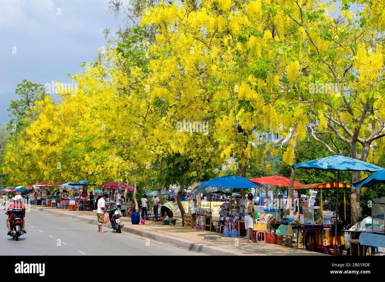 Thailandia: I fossati affollati della città vecchia al Thai New Year Songkran (Water) Festival, Chiang mai. Songkran è il tradizionale Capodanno tailandese e viene celebrato dal 13 al 15 aprile. Questo festival annuale dell'acqua, conosciuto in tailandese come "songkran" e in birmano come "thingyan" segna l'inizio della stagione delle piogge ed è celebrato in Birmania, Laos, Thailandia e in altri paesi del sud-est asiatico, di solito in aprile. Chiang mai (che significa "città nuova"), a volte scritta come "Chiengmai" o "Chiangmai", è la città più grande e culturalmente significativa nel nord della Thailandia. Foto Stock