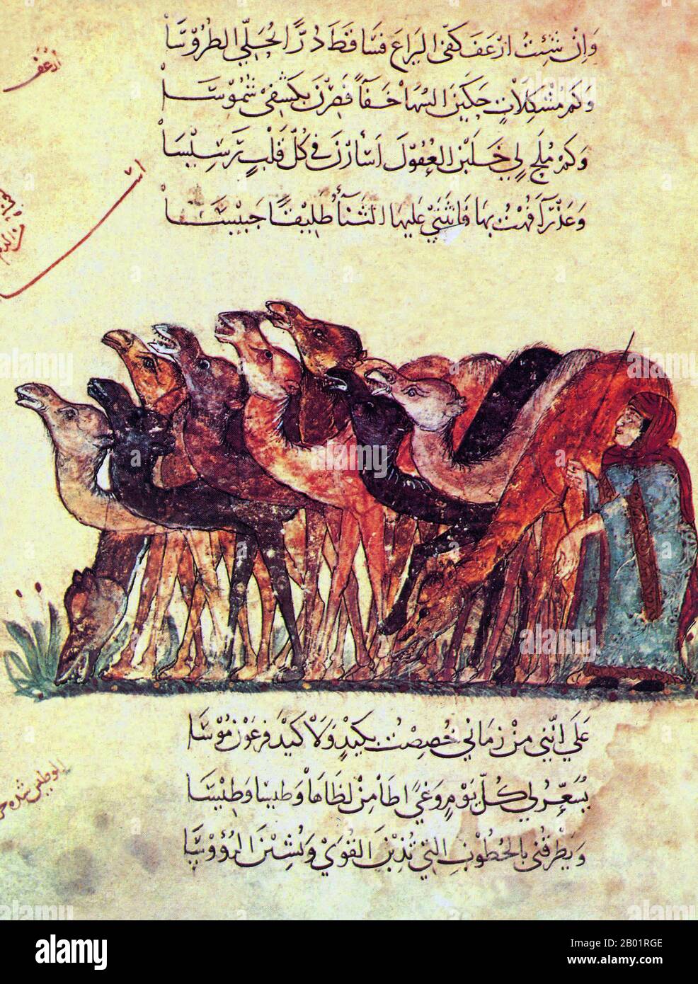 Iraq: Un pastore di cammelli con le sue accuse. Pittura in miniatura di Yahya ibn Mahmud al-Wasiti, 1237 d.C. Yahyâ ibn Mahmûd al-Wâsitî è stato un artista arabo islamico del XIII secolo. Al-Wasiti è nato a Wasit, nel sud dell'Iraq. Era noto per le sue illustrazioni del Maqam di al-Hariri. I Maqāma (letteralmente "assemblee") sono un genere letterario arabo (originariamente) di prosa rimata con intervalli di poesia in cui la stravaganza retorica è evidente. Si dice che l'autore del X secolo Badī' al-Zaman al-Hamadhāni abbia inventato la forma, che fu estesa da al-Hariri di Bassora nel secolo successivo. Foto Stock