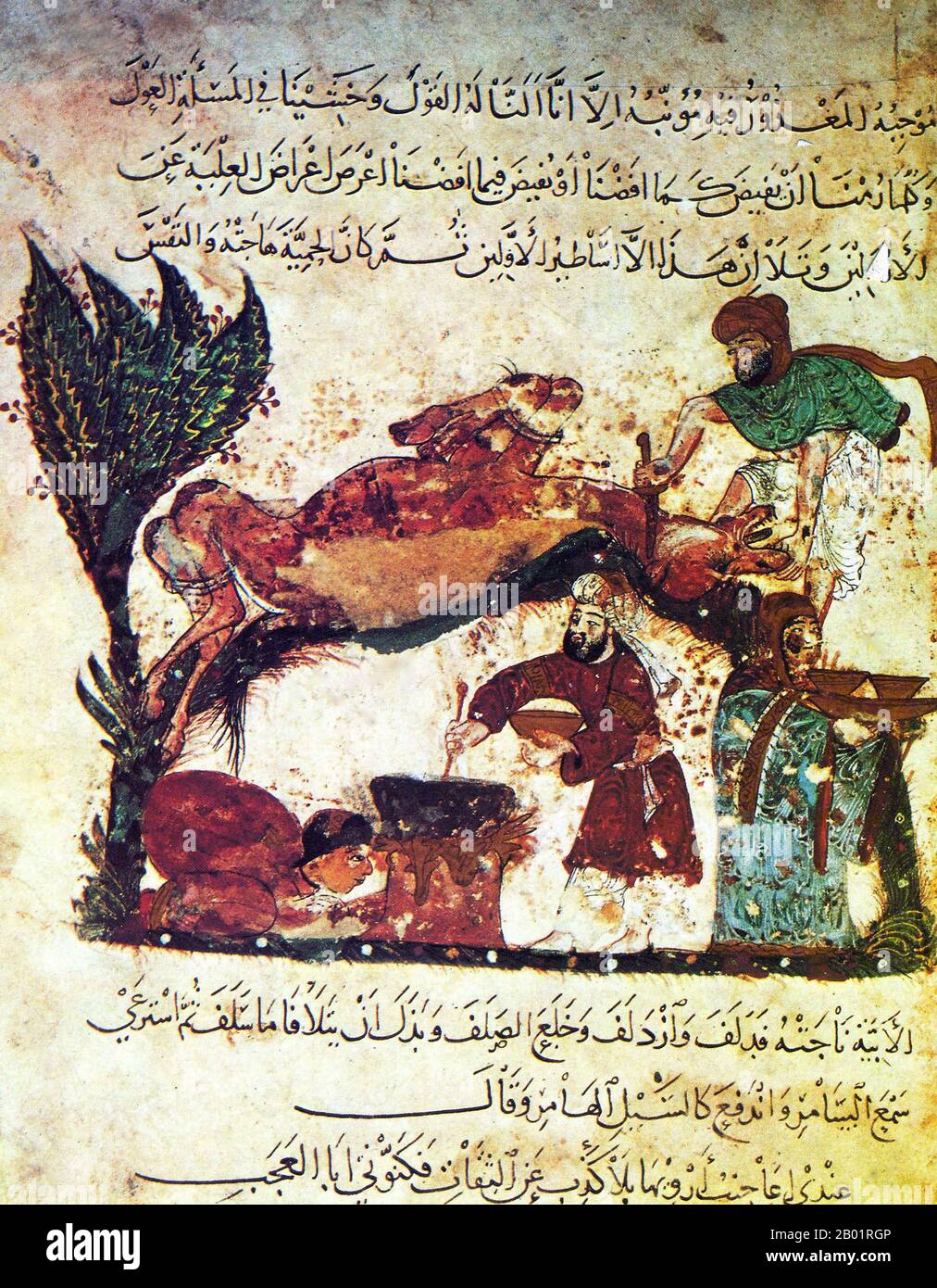 Iraq: Macellazione rituale di un cammello e cottura di un pasto. Dipinto in miniatura di Yahya ibn Mahmud al-Wasiti, 1237. Yahyâ ibn Mahmûd al-Wâsitî è stato un artista arabo islamico del XIII secolo. Al-Wasiti è nato a Wasit, nel sud dell'Iraq. Era noto per le sue illustrazioni del Maqam di al-Hariri. I Maqāma (letteralmente "assemblee") sono un genere letterario arabo (originariamente) di prosa rimata con intervalli di poesia in cui la stravaganza retorica è evidente. Si dice che l'autore del X secolo Badī' al-Zaman al-Hamadhāni abbia inventato la forma, che fu estesa da al-Hariri di Bassora nel secolo successivo. Foto Stock