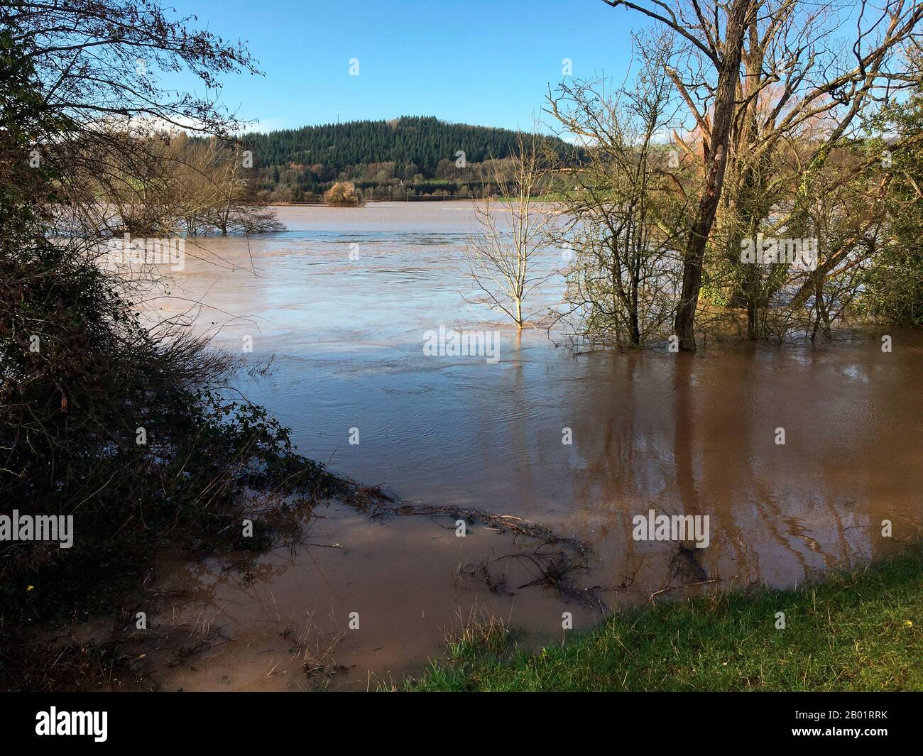 Flooded Farmland River Wye a Hay on Wye il fiume ha raggiunto il livello più alto di 5,05 metri registrati sul fiume locale indicatore di altezza Foto Stock
