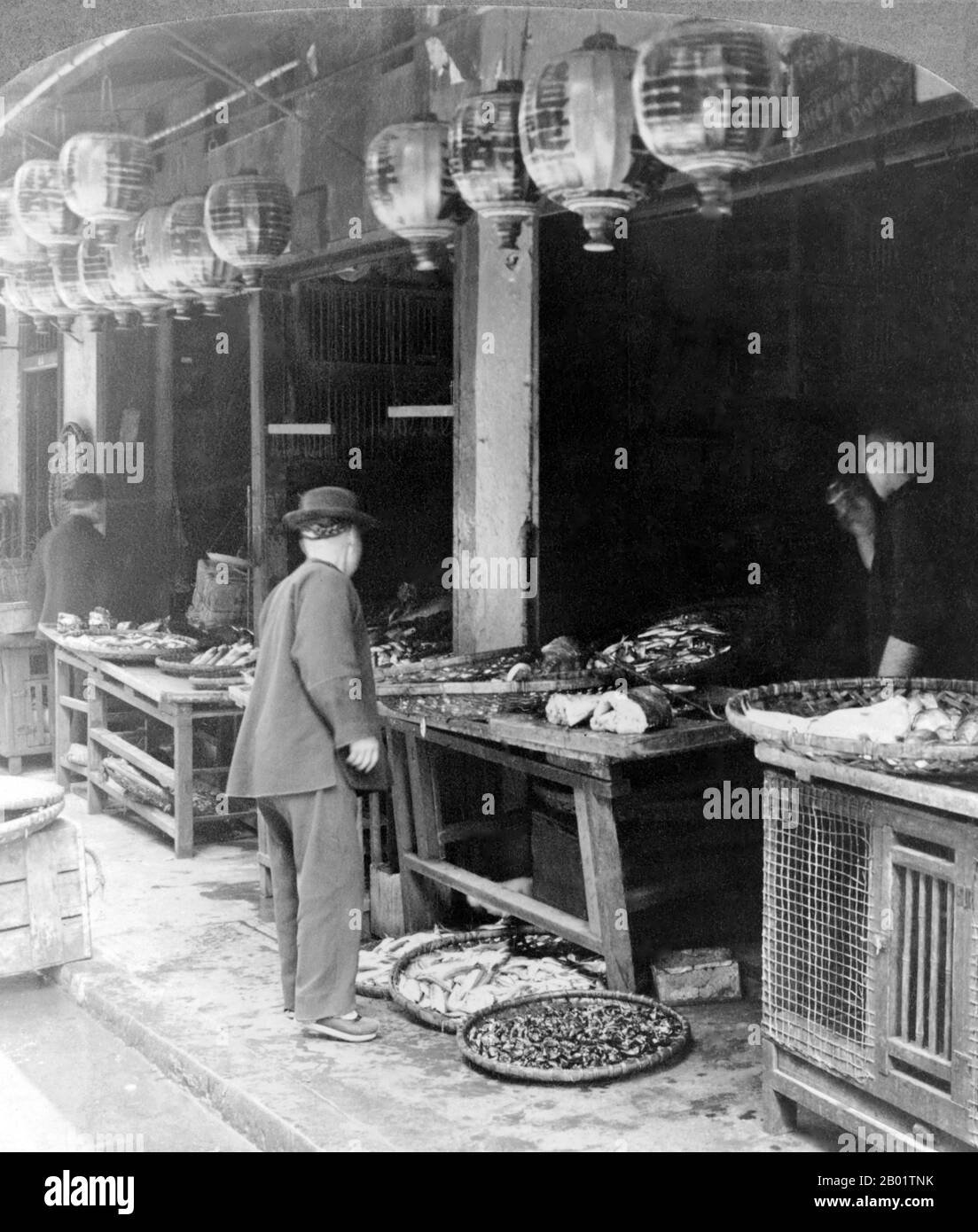 USA: Comprare pesce al mercato del pesce Chinatown di San Francisco. Foto di C.L. Wasson (1866-1951), c. 1906. Chinatown di San Francisco fu il porto di ingresso per i primi immigrati cinesi hoisanese e Zhongshanese dalla provincia del Guangdong della Cina meridionale dagli anni '1850 agli anni '1900 L'area era l'unica regione geografica detenuta dal governo cittadino e dai proprietari di proprietà private che permettevano ai cinesi di ereditare e abitare abitazioni all'interno della città. La maggior parte di questi negozianti cinesi, proprietari di ristoranti e lavoratori assunti a San Francisco erano prevalentemente hoisanesi e uomini. Foto Stock