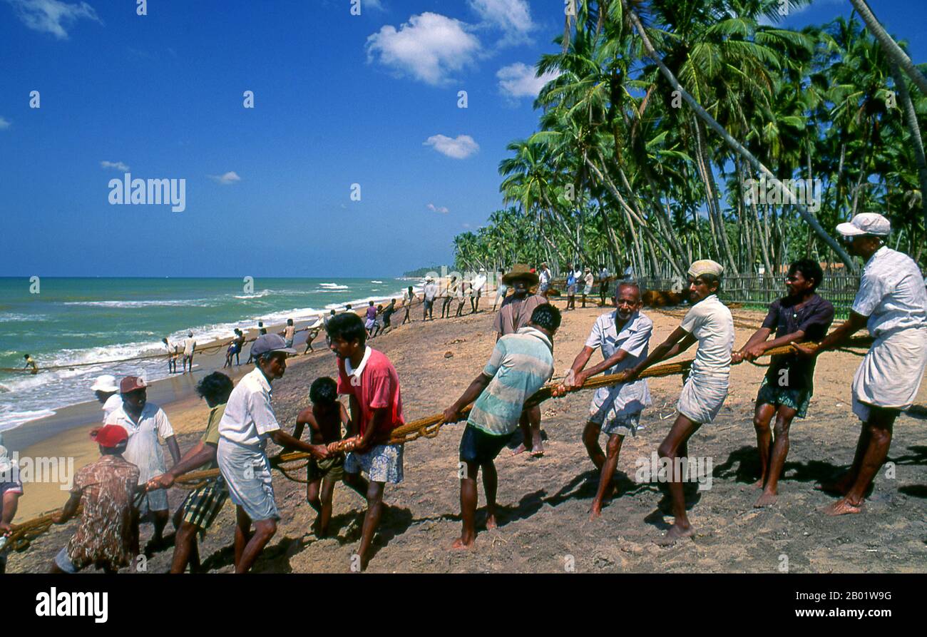 Sri Lanka: Pescatori di reti da posta derivanti, Wadduwa, provincia occidentale. Wadduwa è famosa per la sua ricca coltivazione di palme da cocco e come importante produttore di toddy e aceto. È rinomata per i suoi prodotti a base di fibre di cocco, come scope, tappeti, ecc. Foto Stock