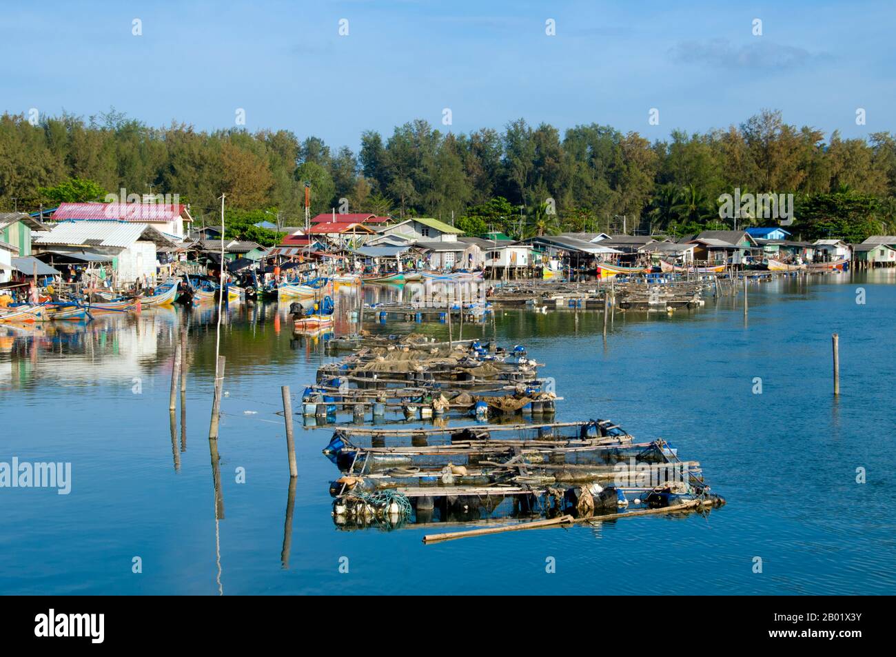 Thailandia: Villaggio di pescatori e allevamenti ittici, Narathiwat, Thailandia meridionale. Narathiwat è uno dei pochi punti in cui il mondo tailandese e quello malese si incontrano e si mescolano con quello dei cinesi d'oltremare. Ciò ha portato a un sistema sociale intrigante e complesso, in cui i buddisti di lingua thailandese controllano la burocrazia, i cinesi etnici gestiscono l'economia urbana e i musulmani di lingua malese coltivano la campagna e pescano i mari. Narathiwat è una cittadina tranquilla e appartata di circa 40.000 persone - una delle più piccole capitali provinciali della Thailandia - con un carattere tutto suo. Foto Stock