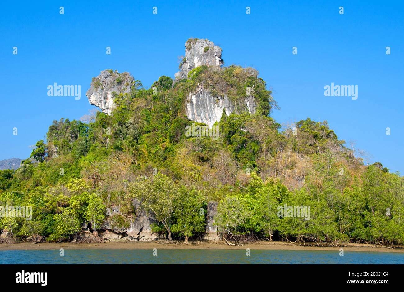 Inaugurato nel 1981, il Parco Nazionale di Ao Phang Nga copre un'area di circa 400 kmq ed è composto principalmente da rocce carsiche e isole, torreggianti scogliere e le acque cristalline del Mare di Phuket. Sebbene sia sede di un'ampia varietà di creature marine e costiere, tra cui il monitor dell'acqua lungo due metri, la maggior parte delle persone visita il parco per ammirare e navigare attraverso e intorno alle numerose torri carsiche che si profilano. Le mangrovie sono diversi tipi di alberi fino a media altezza e arbusti che crescono in habitat salini di sedimenti costieri nei tropici e nei subtropici - principalmente tra latitudini 25° N e 25° S. Foto Stock