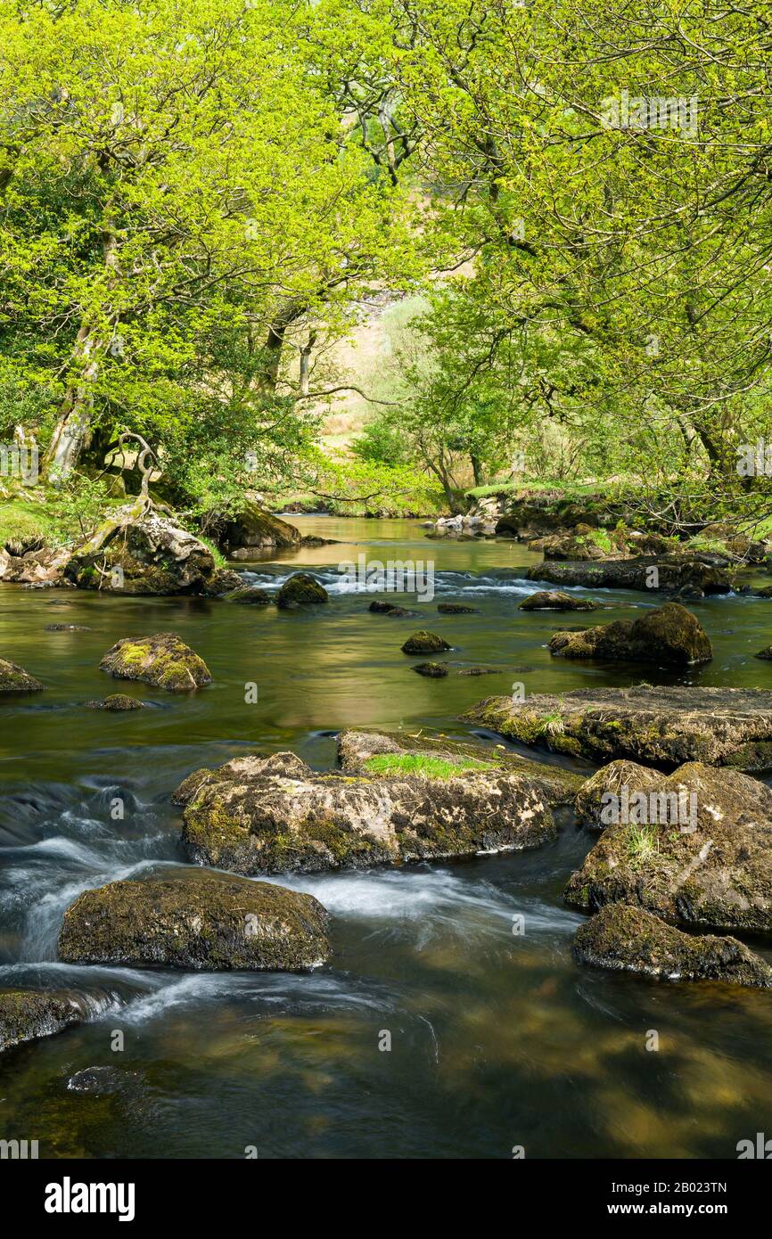 Nant Ffrancon, Parco Nazionale Di Snowdonia, Galles Foto Stock