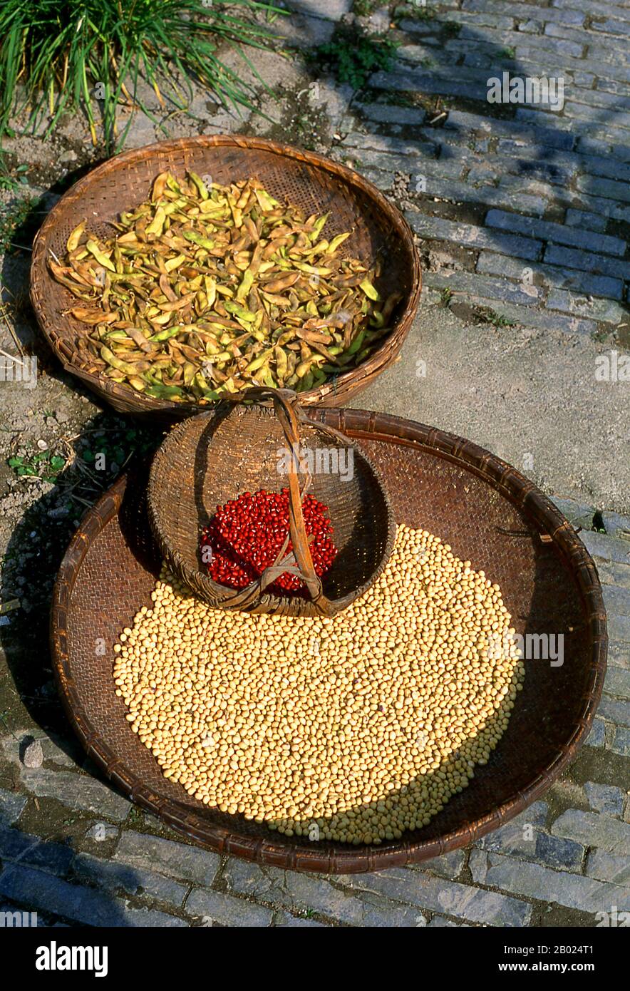 Cina: Essiccazione di semi e legumi nella «città dell'acqua» di Zhouzhuang, provincia di Jiangsu. Zhouzhuang è una delle più famose cittadine acquatiche della Cina e risale al periodo primaverile e autunnale (770-476 a.C.). La maggior parte dell'antico proprio visto oggi è stata infatti costruita durante il periodo Ming o Qing. Foto Stock