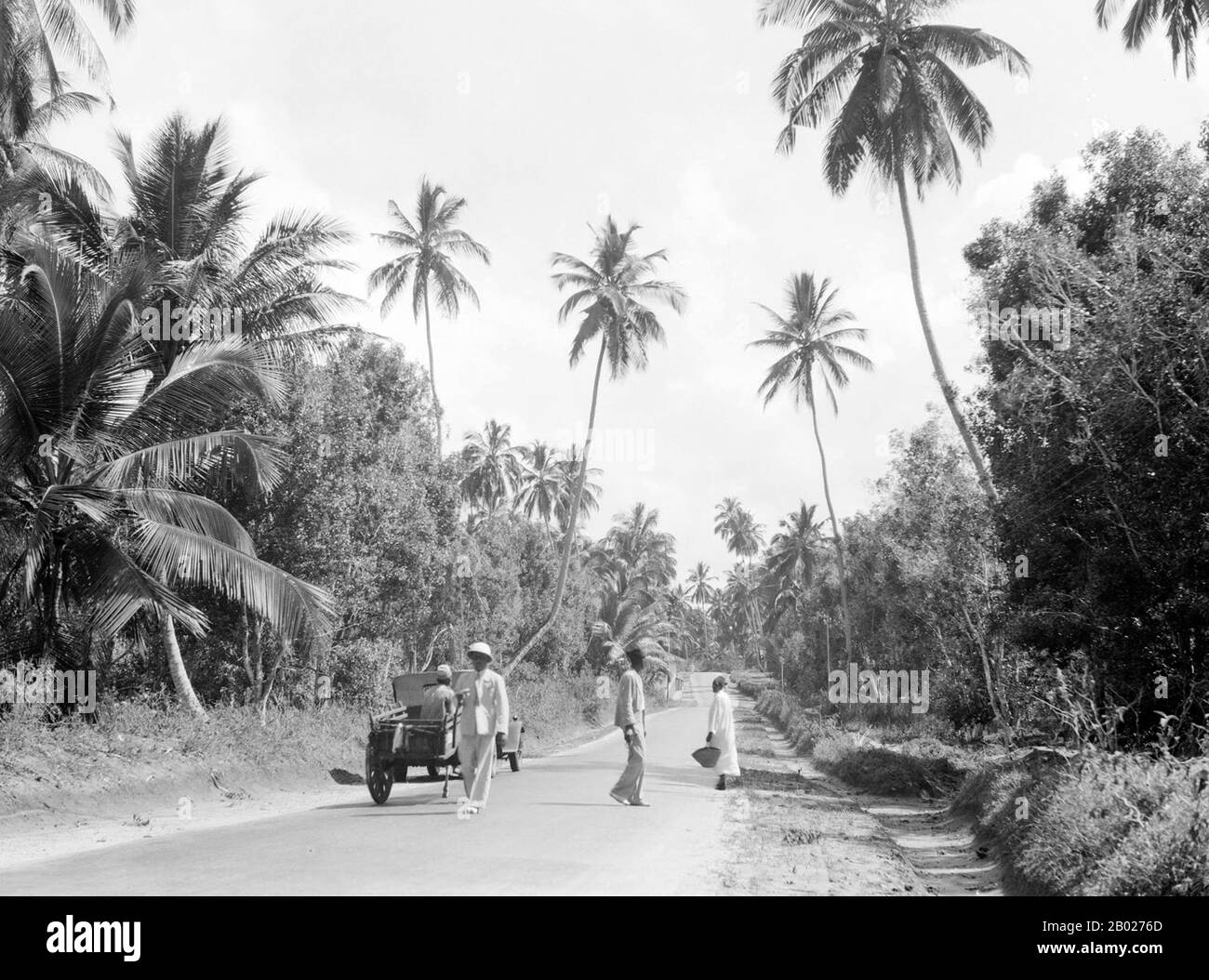 Tanzania/Zanzibar: Una strada di campagna delimitata da piantagioni di chiodi di garofano e palme, 1936. Zanzibar è una parte semi-autonoma della Tanzania nell'Africa orientale. È composto dall'arcipelago di Zanzibar nell'Oceano Indiano, 25-50 km (16-31 miglia) al largo della costa continentale, ed è costituito da numerose piccole isole e due grandi: Unguja (l'isola principale, indicata informalmente come Zanzibar), e Pemba. La capitale di Zanzibar, situata sull'isola di Unguja, è Zanzibar City. Il suo centro storico, conosciuto come Stone Town, è un sito Patrimonio dell'Umanità. Foto Stock