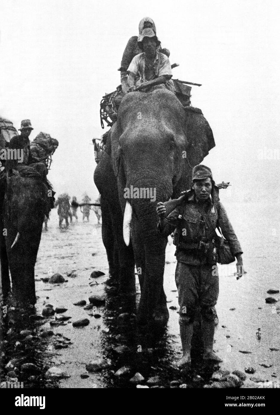 Birmania/Myanmar: Le truppe giapponesi della 33a armata sull'elefante tornano nella Birmania centrale, 1944. Un importante campo di battaglia, la Birmania fu devastata durante la seconda guerra mondiale. Nel marzo 1942, pochi mesi dopo l'entrata in guerra, le truppe giapponesi avanzarono su Rangoon e l'amministrazione britannica era collassata. Un'amministrazione esecutiva birmana guidata da Ba Maw fu istituita dai giapponesi nell'agosto 1942. I chindits britannici di Wingate furono formati in gruppi di penetrazione a lungo raggio addestrati ad operare in profondità dietro le linee giapponesi. Un'unità americana simile, i Marauders di Merrill, seguì i Chindits nella giungla. Foto Stock