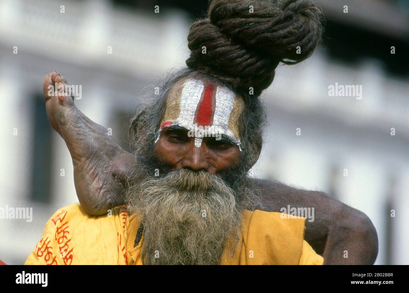Nepal: Sadhu (uomo Santo) pratica yoga a Pashupatinath, Kathmandu. Sono conosciuti, variamente, come sadhus (santi, o "buoni"), yogis (praticanti ascetici), fakir (cercatore ascetico dopo la verità) e sannyasin (mendicanti vaganti e ascetici). Sono i praticanti ascetici - e spesso eccentrici - di una forma austera di induismo. Giurando di scacciare i desideri terreni, alcuni scelgono di vivere come anacoriti nella natura selvaggia. Altri sono di una disposizione meno ritirata, specialmente nelle città e nei templi della valle di Kathmandu in Nepal. Foto Stock