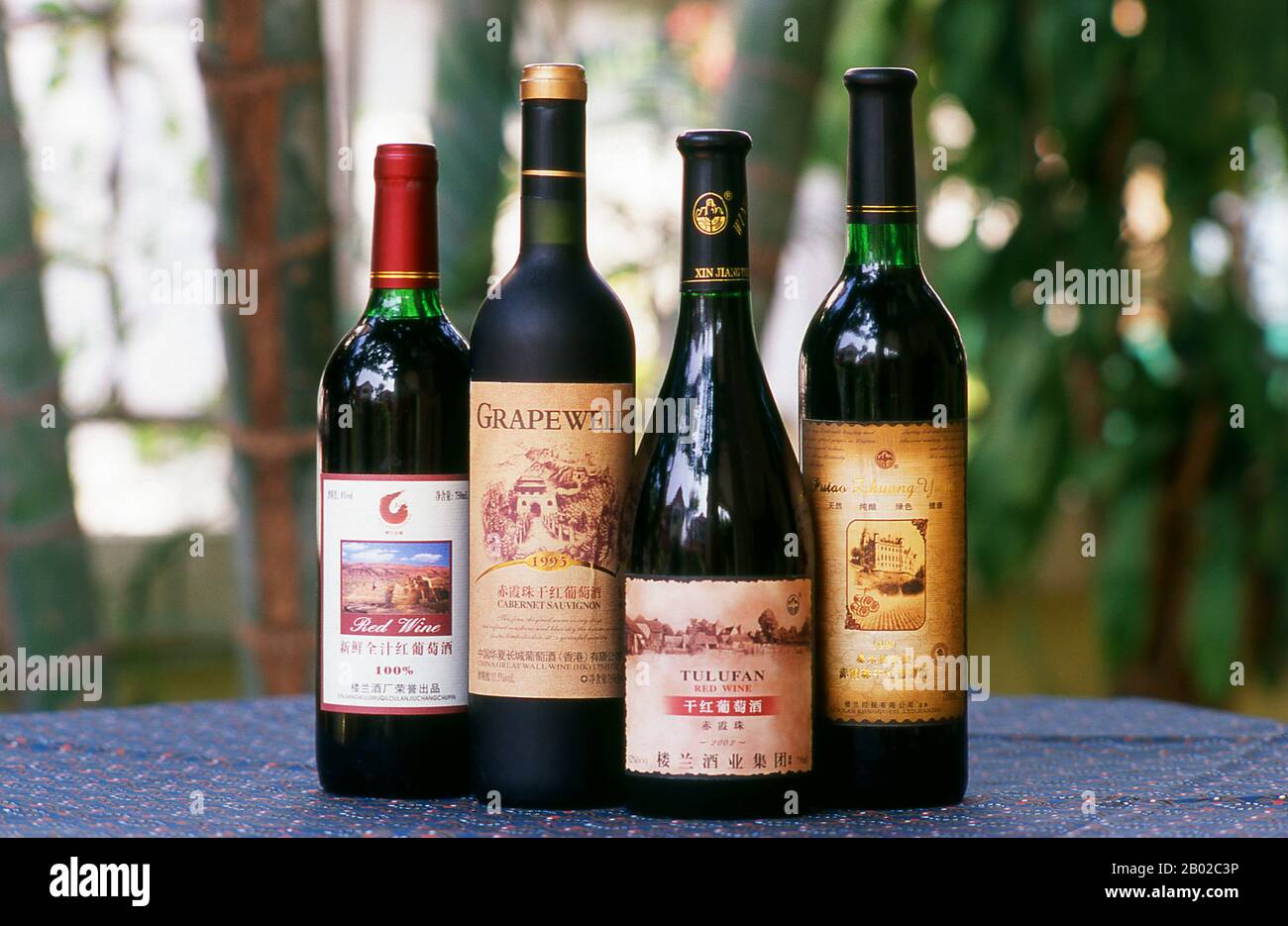 Cina: Vini della zona di Turpan (Tulufan), provincia dello Xinjiang. L'oasi di Turpan era un centro strategicamente significativo sulla via della seta settentrionale dello Xinjiang, sito delle antiche città di Yarkhoto (Jiaohe) e Karakhoja (Gaochang). Gli eserciti cinesi entrarono per la prima volta a Turpan nel II secolo a.C., durante il regno dell'imperatore Han Wu di (141-87 a.C.), quando l'oasi era un centro della cultura Tocarica indoeuropea. Turpan mantenne un carattere distintamente buddista fino al tempo del Khanato Chagatai nel XIII secolo, quando l'Islam divenne gradualmente la religione dominante. Foto Stock