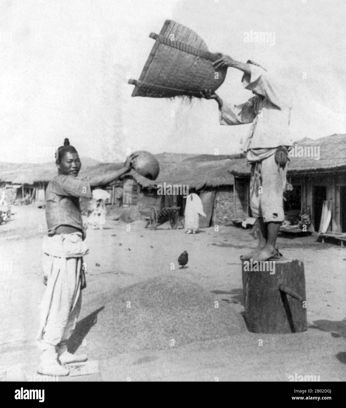 Corea: Winnowing orzo nelle strade di Chemulpo (Incheon, Inchon), 1904. Incheon, precedentemente romanzata come Inchon e ufficialmente conosciuta come Incheon Metropolitan City, è una città situata nella Corea del Sud nord-occidentale. La città ospitava solo 4.700 persone quando il porto di Chemulpo o Jemulpo fu costruito nel 1883. Oggi 2,9 milioni di persone vivono nella città, rendendola la terza città più popolosa della Corea dopo Seoul e Busan. Foto Stock