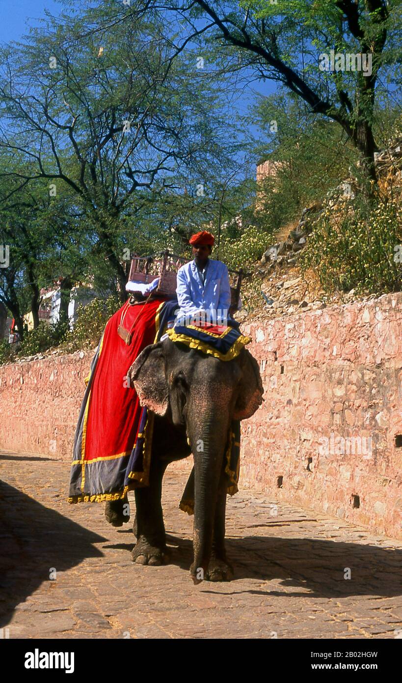 Amer Palace and Fort (Hindi: आमेर क़िला, anche scritto e pronunciato come Amber) è stato costruito da Raja Man Singh i (21 dicembre 1550 – 6 luglio 1614). Jaipur è la capitale e la città più grande dello stato indiano del Rajasthan. Fu fondata il 18 novembre 1727 da Maharaja Sawai Jai Singh II, il governatore di Amber, dopo di che la città fu chiamata. La città oggi ha una popolazione di 3,1 milioni di abitanti. Jaipur è conosciuta come la città rosa dell'India. La città è notevole tra le città indiane pre-moderne per la larghezza e la regolarità delle sue strade che sono disposte in sei settori separati da strade ampie 34 m (111 Foto Stock