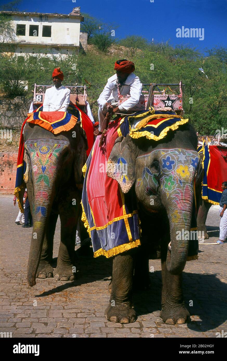 Amer Palace and Fort (Hindi: आमेर क़िला, anche scritto e pronunciato come Amber) è stato costruito da Raja Man Singh i (21 dicembre 1550 – 6 luglio 1614). Jaipur è la capitale e la città più grande dello stato indiano del Rajasthan. Fu fondata il 18 novembre 1727 da Maharaja Sawai Jai Singh II, il governatore di Amber, dopo di che la città fu chiamata. La città oggi ha una popolazione di 3,1 milioni di abitanti. Jaipur è conosciuta come la città rosa dell'India. La città è notevole tra le città indiane pre-moderne per la larghezza e la regolarità delle sue strade che sono disposte in sei settori separati da strade ampie 34 m (111 Foto Stock