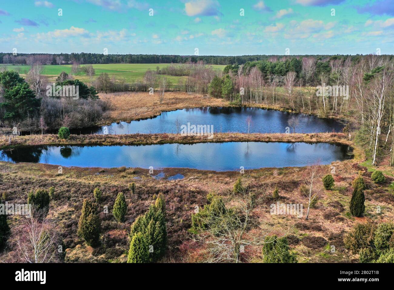 Veduta aerea di un lago nel paesaggio tedesco di brughiera, raccolto da un livello basso Foto Stock