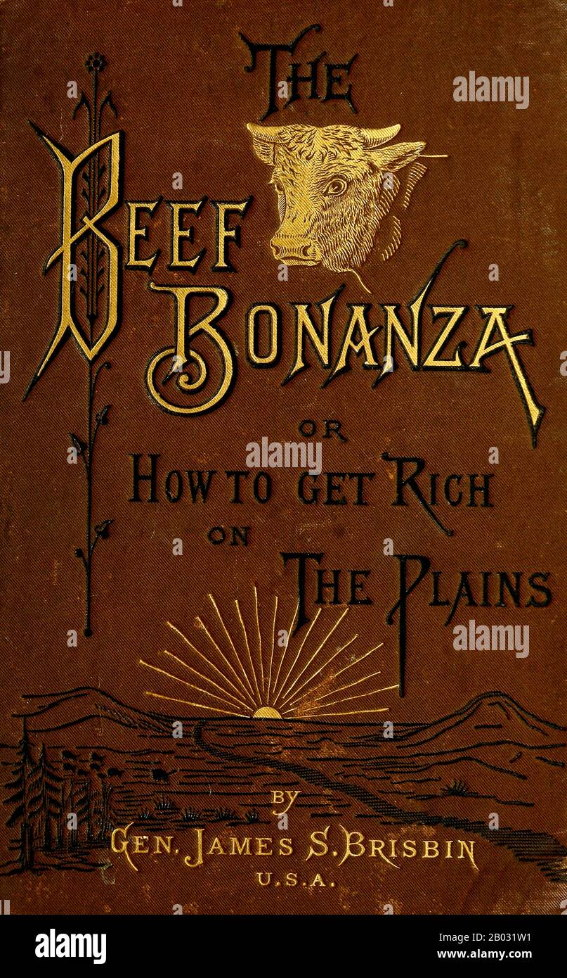 Il bonanza di manzo; o, come ottenere ricco sulle pianure. Descrizione della coltivazione del bestiame, dell'allevamento ovino, dell'allevamento di cavalli e dell'attività di dairying in Occidente da parte del generale Brisbin, James S. (James Sanks), 1837-1892. Pubblicato in Philadelphia, Stati Uniti nel 1882 Foto Stock