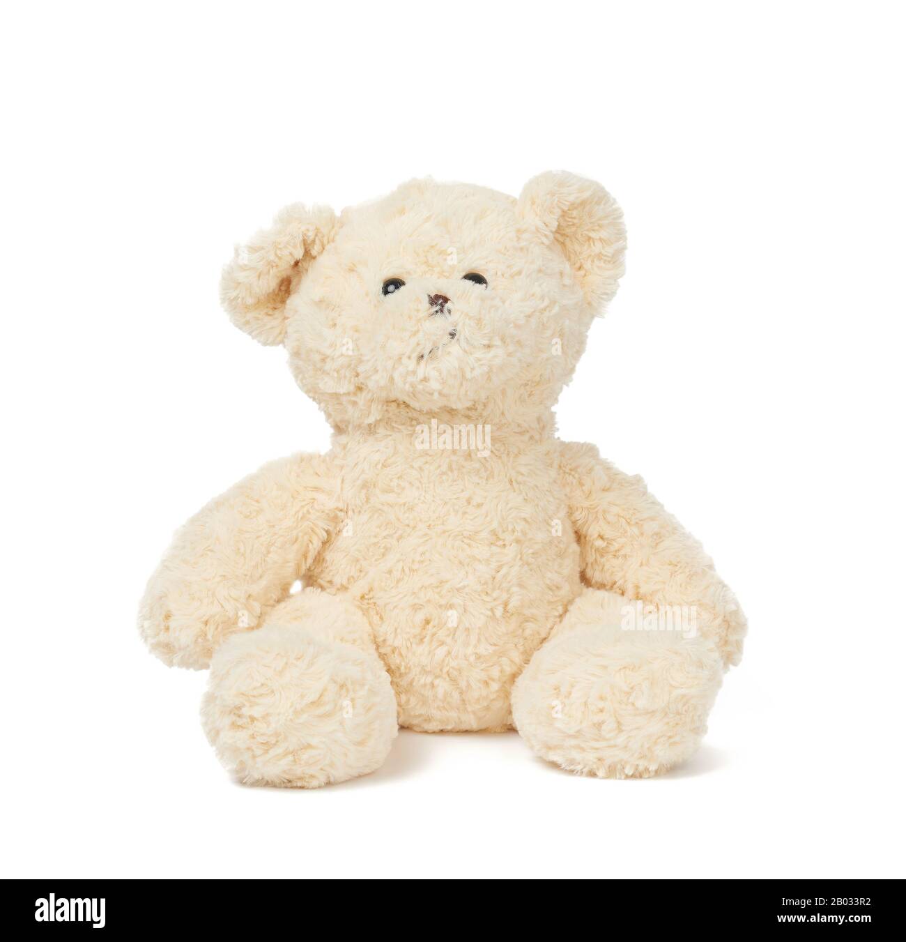 grande orsacchiotto di colore beige curly si siede su uno sfondo bianco isolato, divertenti bambini`s giocattolo Foto Stock
