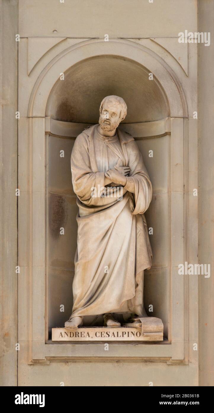 Andrea Cesalpino (Roma, 6 giugno 1519 – Roma, 23 febbraio 1603) è stato un . Nelle sue opere ha classificato le piante secondo i loro frutti e semi, piuttosto che in ordine alfabetico o per proprietà medicinali. Nel 1555 succedette a Luca Ghini come direttore del giardino botanico di Pisa. Il botanico Pietro Castelli era uno dei suoi studenti. Cesalpino ha anche svolto un lavoro limitato nel campo della fisiologia. Ha teorizzato una circolazione del sangue. Tuttavia, egli ha previsto una 'circolazione chimica' consistente in evaporazione ripetuta e condensazione del sangue, piuttosto che il concetto di Foto Stock